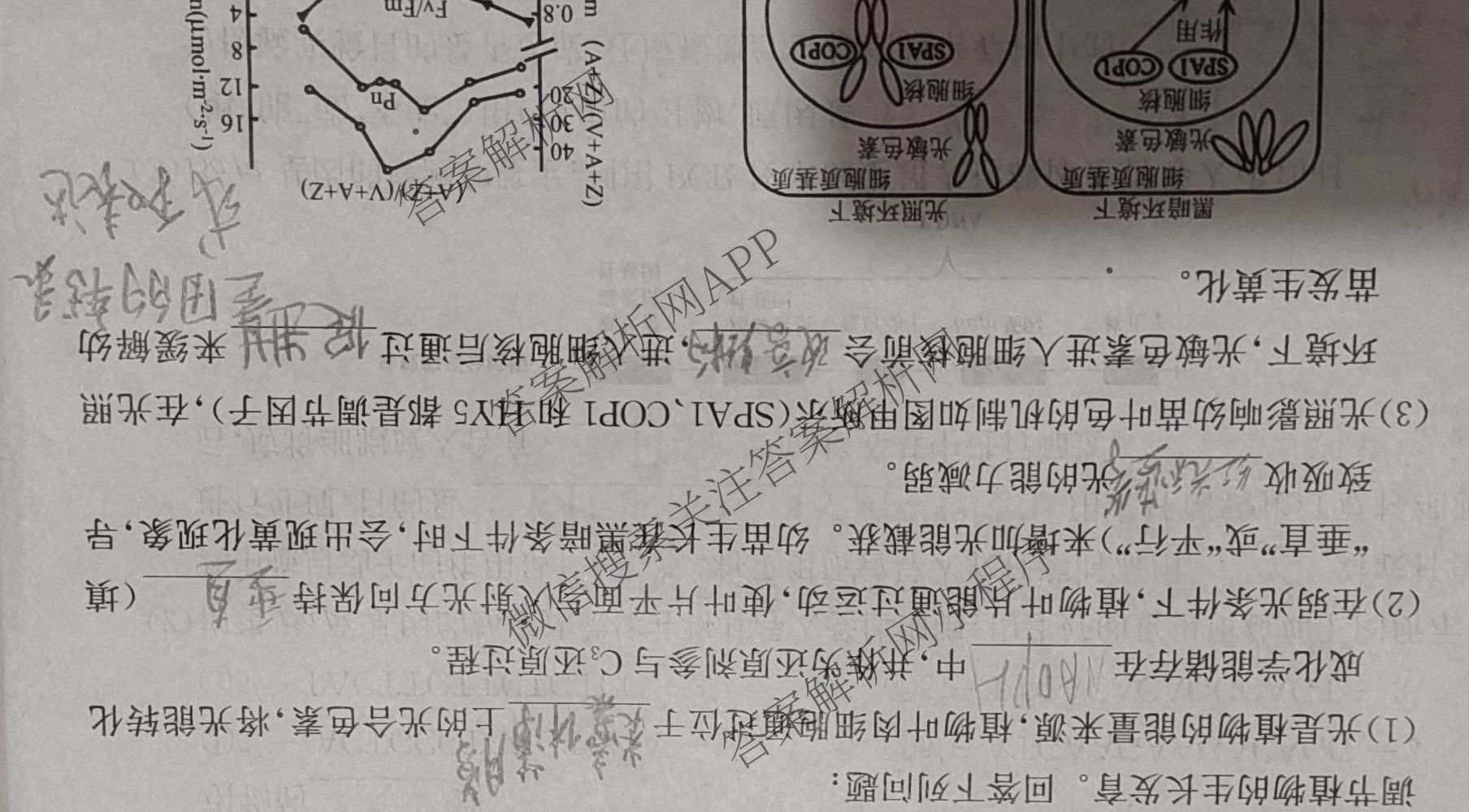 2025年普通高校招生考试冲刺压轴卷(一)1各科答案及试卷(已更新历史(K在括号外)、语文(X在括号外)、生物(A在括号外)等58份)生物试题
