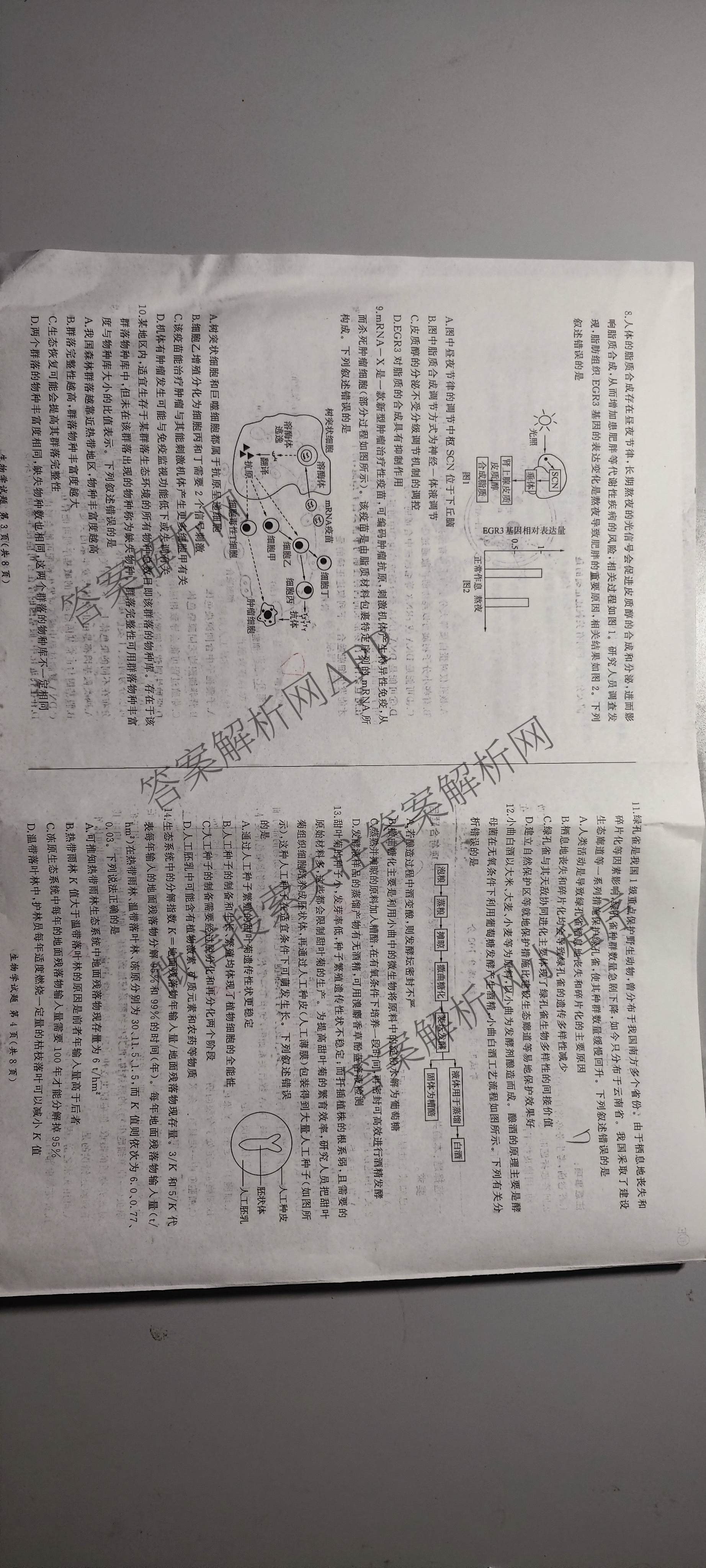 百师联盟2026届高三考前适应性训练(五)（26科全）生物试题