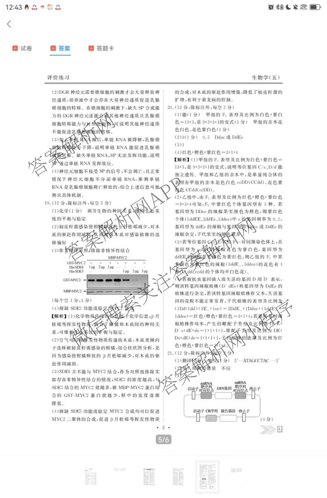 衡水金卷先享题2026年学科素养评价练(五)5(已更新地理(HJ)【河北专版】、地理(HN)【湖南专版】、生物(CY)【四川重庆专版】等90份)生物答案