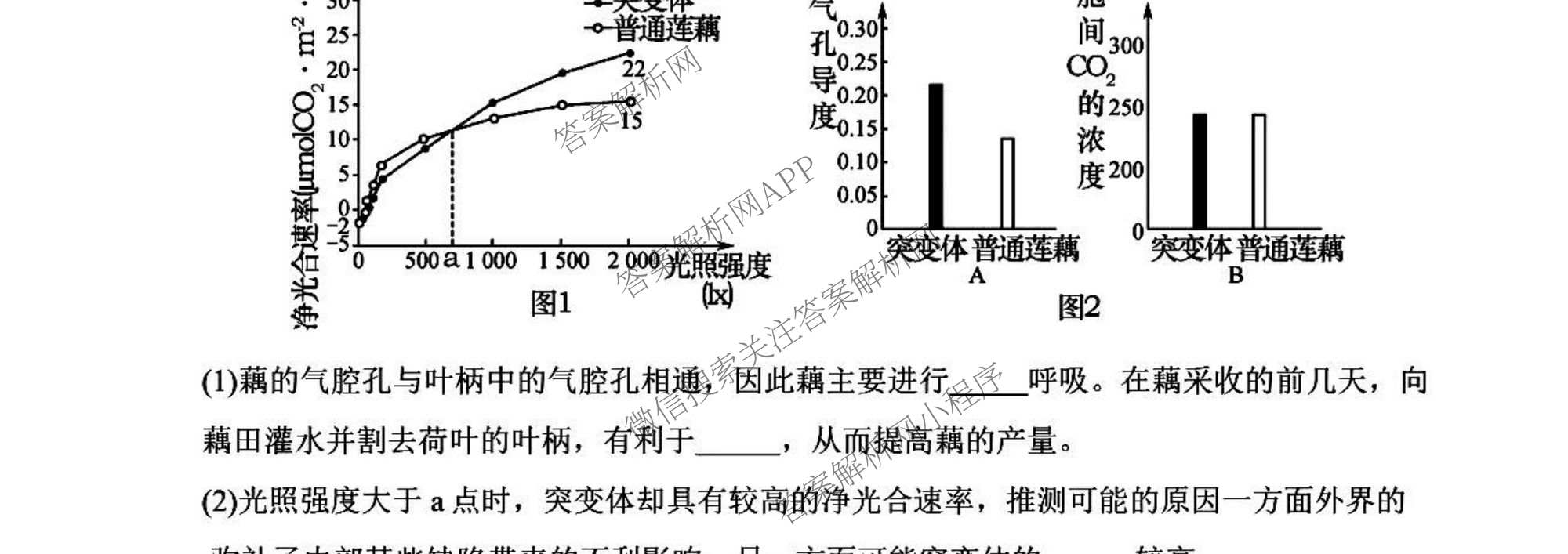 河南省信阳市2027届五校协作体高三9月供题各科答案及试卷（含地理 化学 历史等9份）生物试题