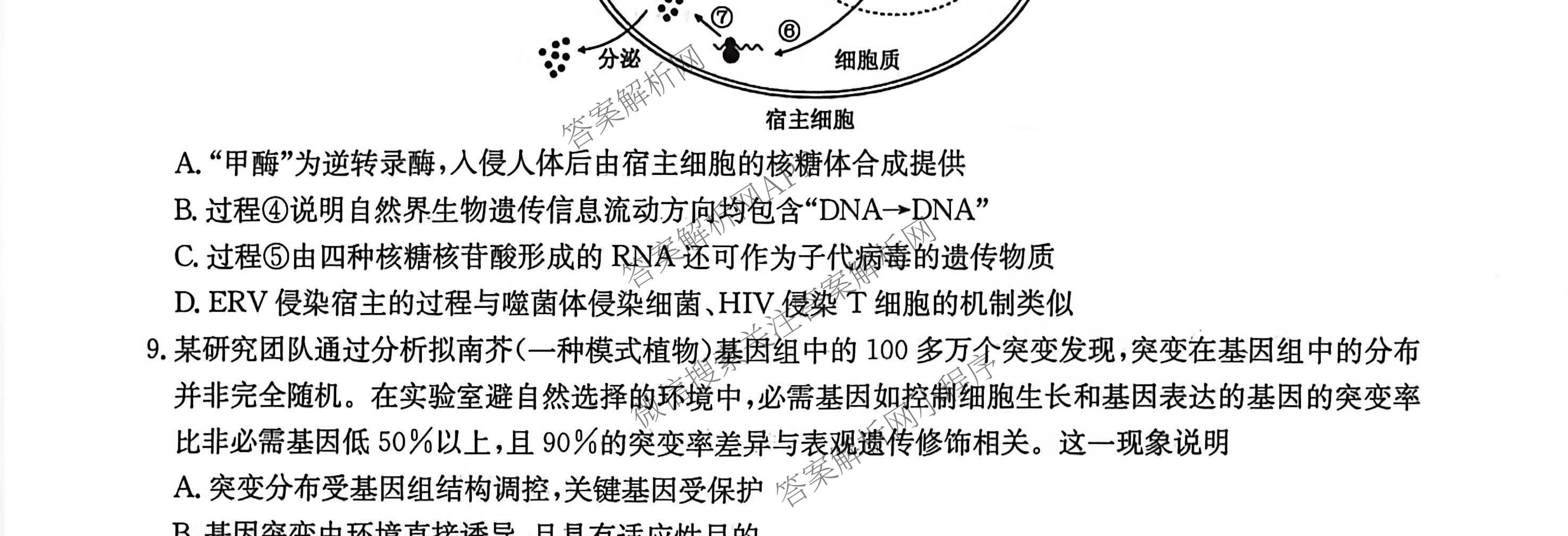 九师联盟2025~2026学年高三核心模拟卷(中)(三)3（含化学(D3)、历史(A1)、历史(A2)等）生物试题