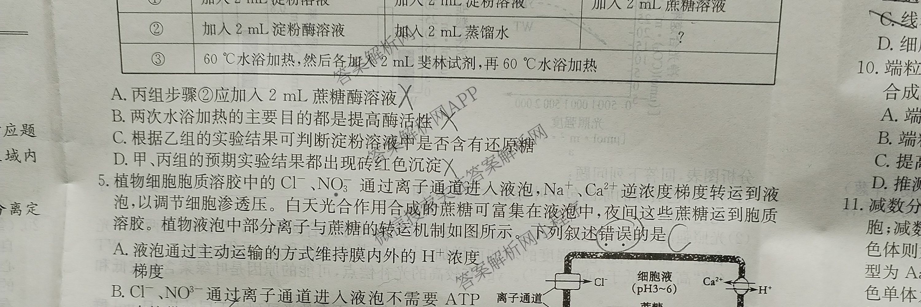 安徽省2025~2026学年度高三年级十月份月考(应历届)26-X-190C各科答案及试卷（含历史、地理、语文等）化学试题