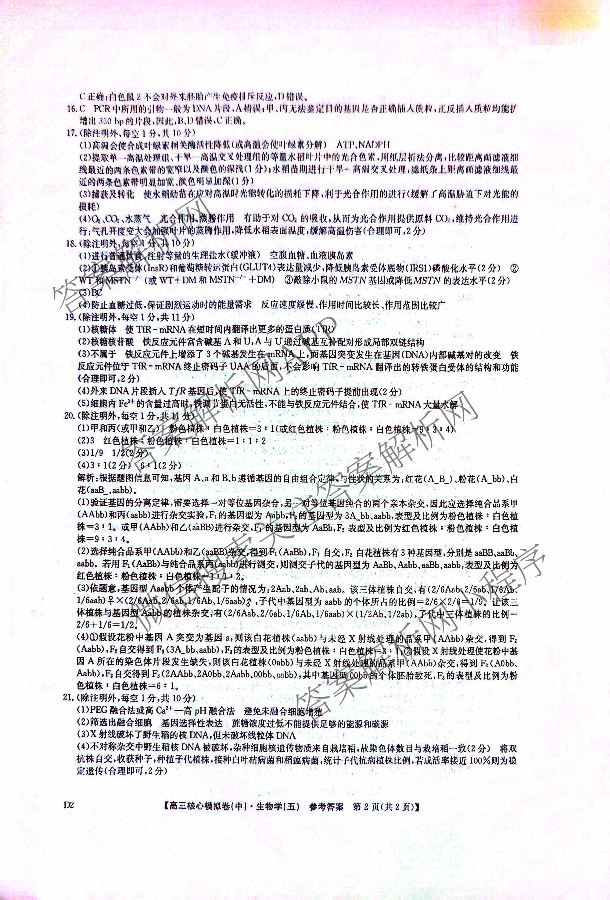 九师联盟2025~2026学年高三核心模拟卷(中)(五)各科答案及试卷（含历史(D2) 政治(B) 政治(D2)等）生物答案