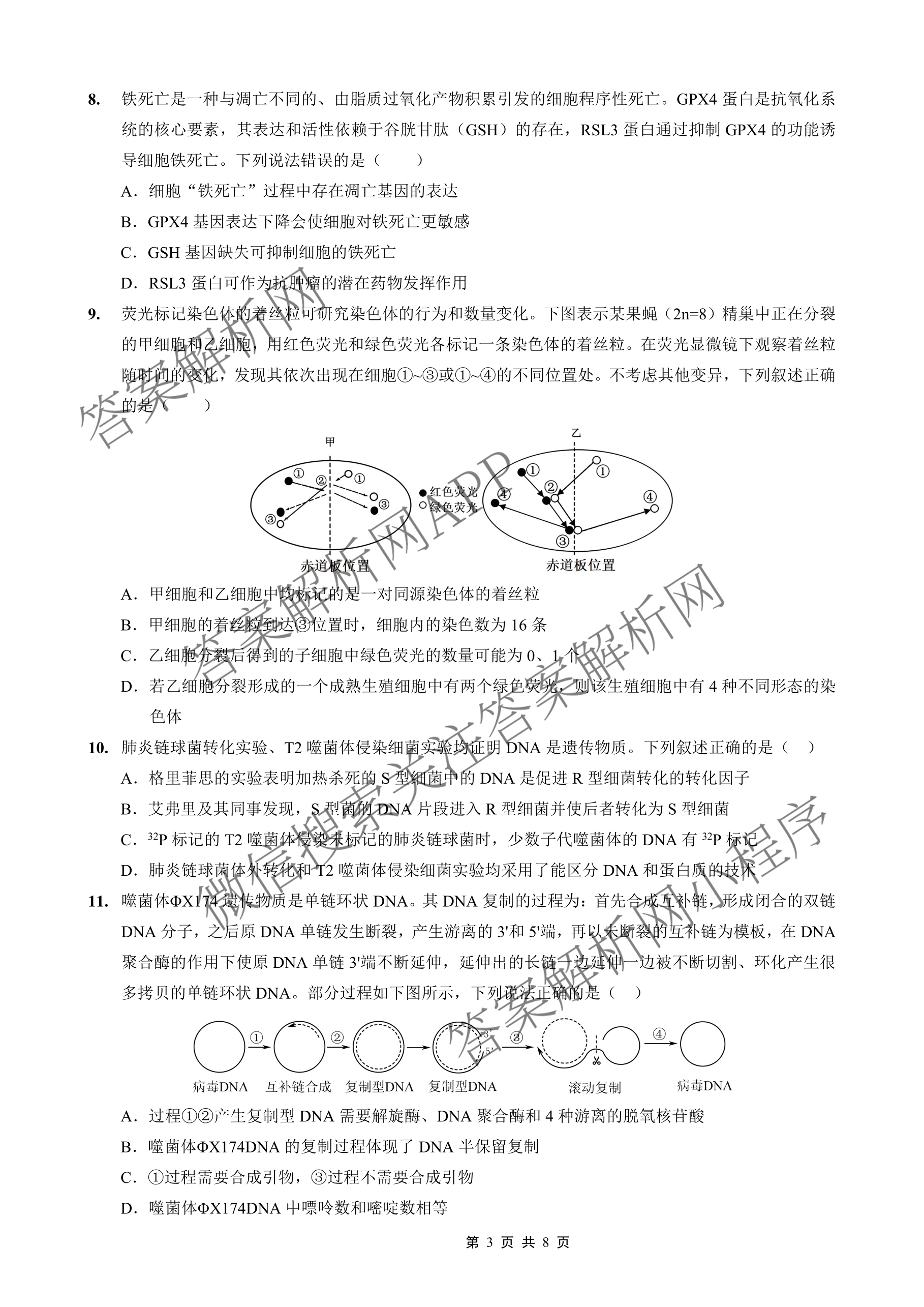 重庆外国语学校2026届高三(上)10月月考(四)各科答案及试卷(已更新数学 历史 物理等9份)生物试题 重庆外国语学校2026届高三(上)10月月考(四)各科答案及试卷(已更新数学 历史 物理等9份)生物试题