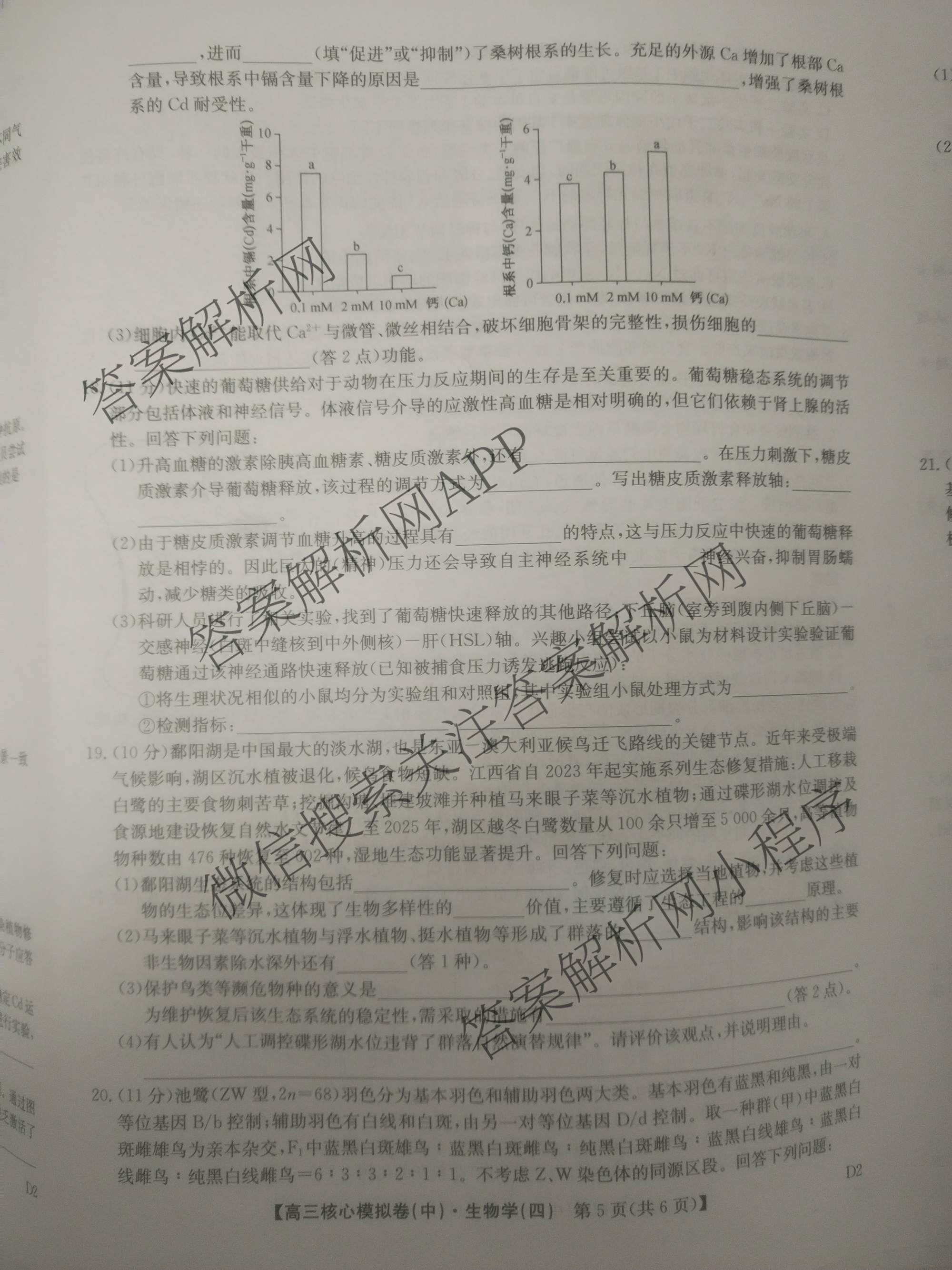 九师联盟2025~2026学年高三核心模拟卷(中)(四)试卷及答案汇总（含物理(A)、物理(HF)、生物(D1)等36份）生物试题