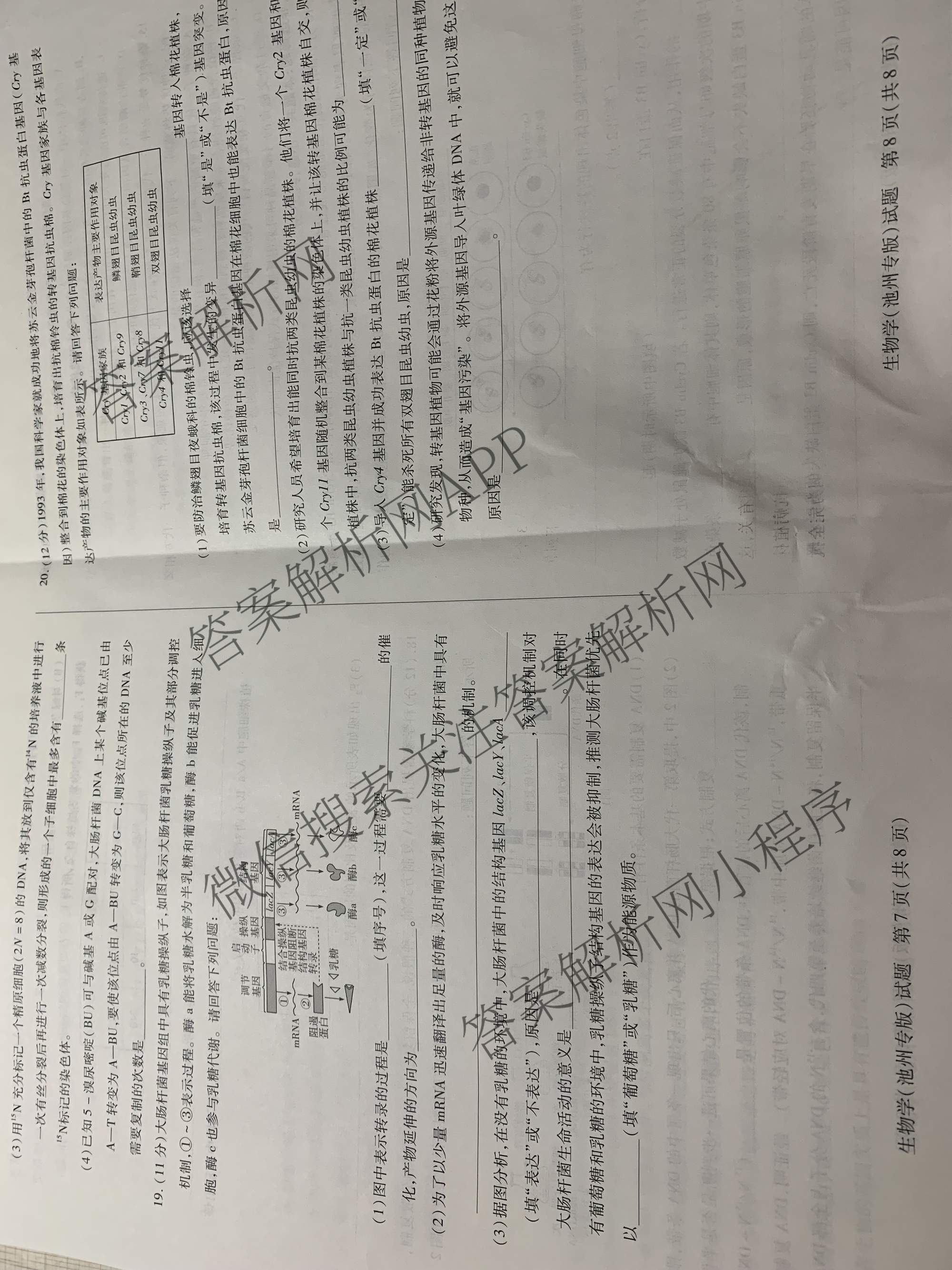  天一大联考安徽2025年9月高二秋季检测试卷及答案汇总（含语文、物理(黄山专版)、历史等）生物试题