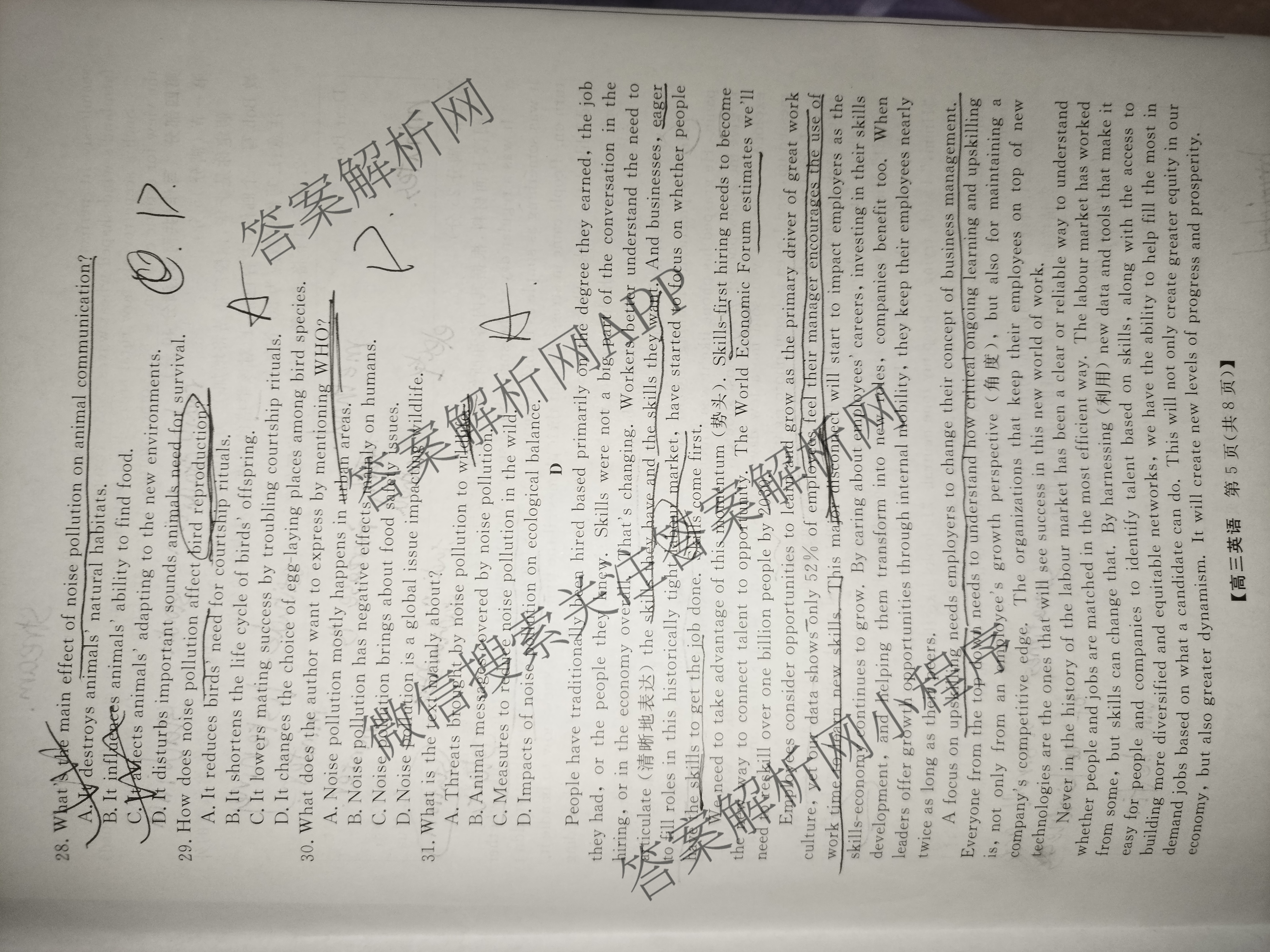 陕西省2025~2026高三12月联考试卷及答案汇总: 含历史、语文、数学试卷解析英语试题