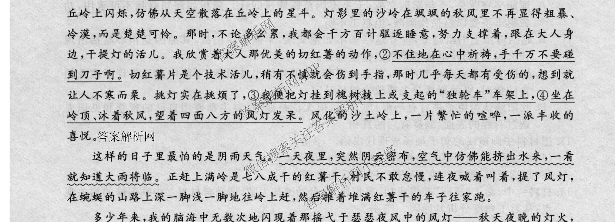 2026普通高等学校招生全国统一考试冲刺押题卷(六)6各科答案及试卷（含数学(A)、语文、生物(HBJ)等）语文试题