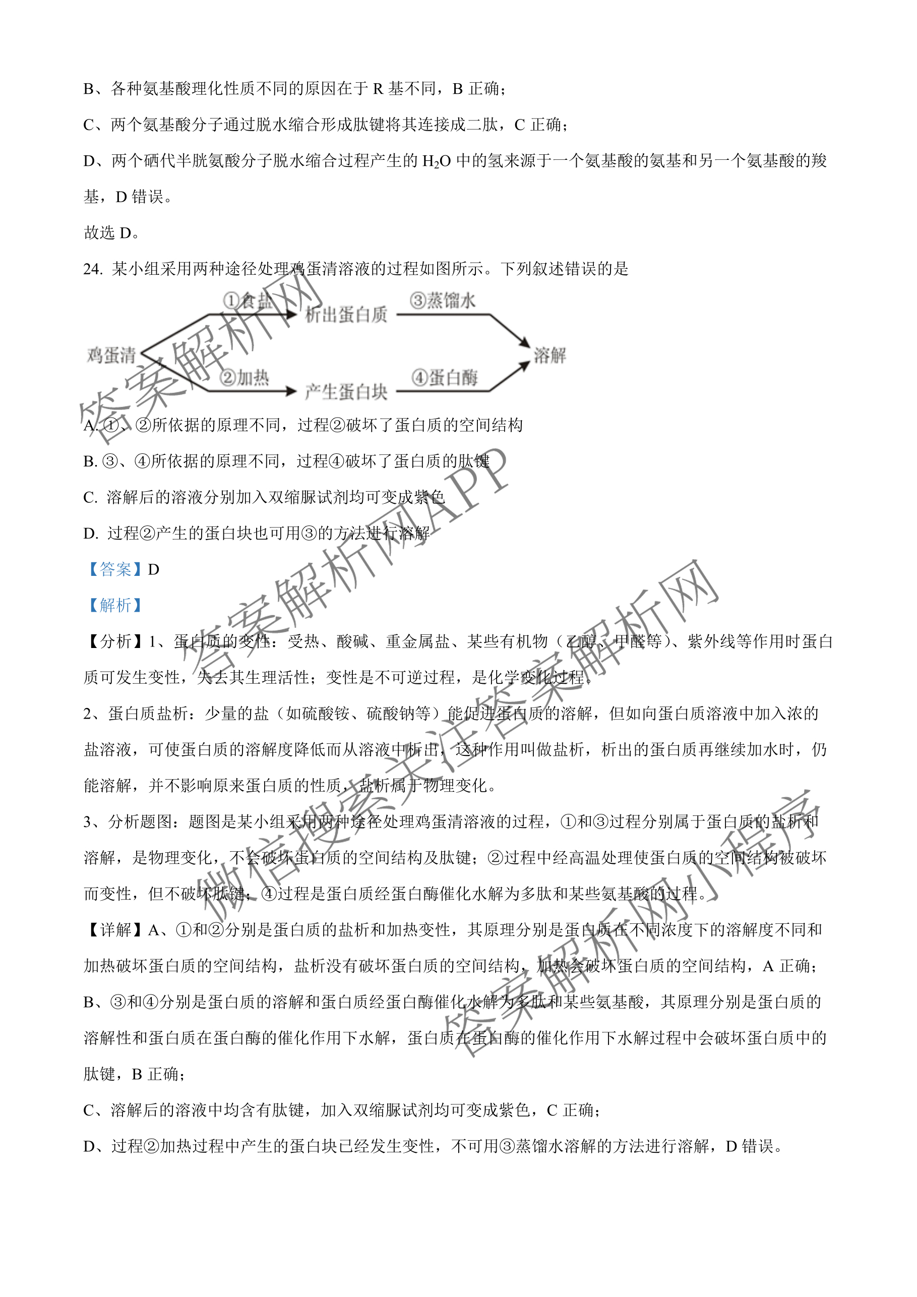成都市列五中学2025-2026学年度(上)阶段性考试(一)高2025级: 含政治 英语 数学试卷解析生物答案