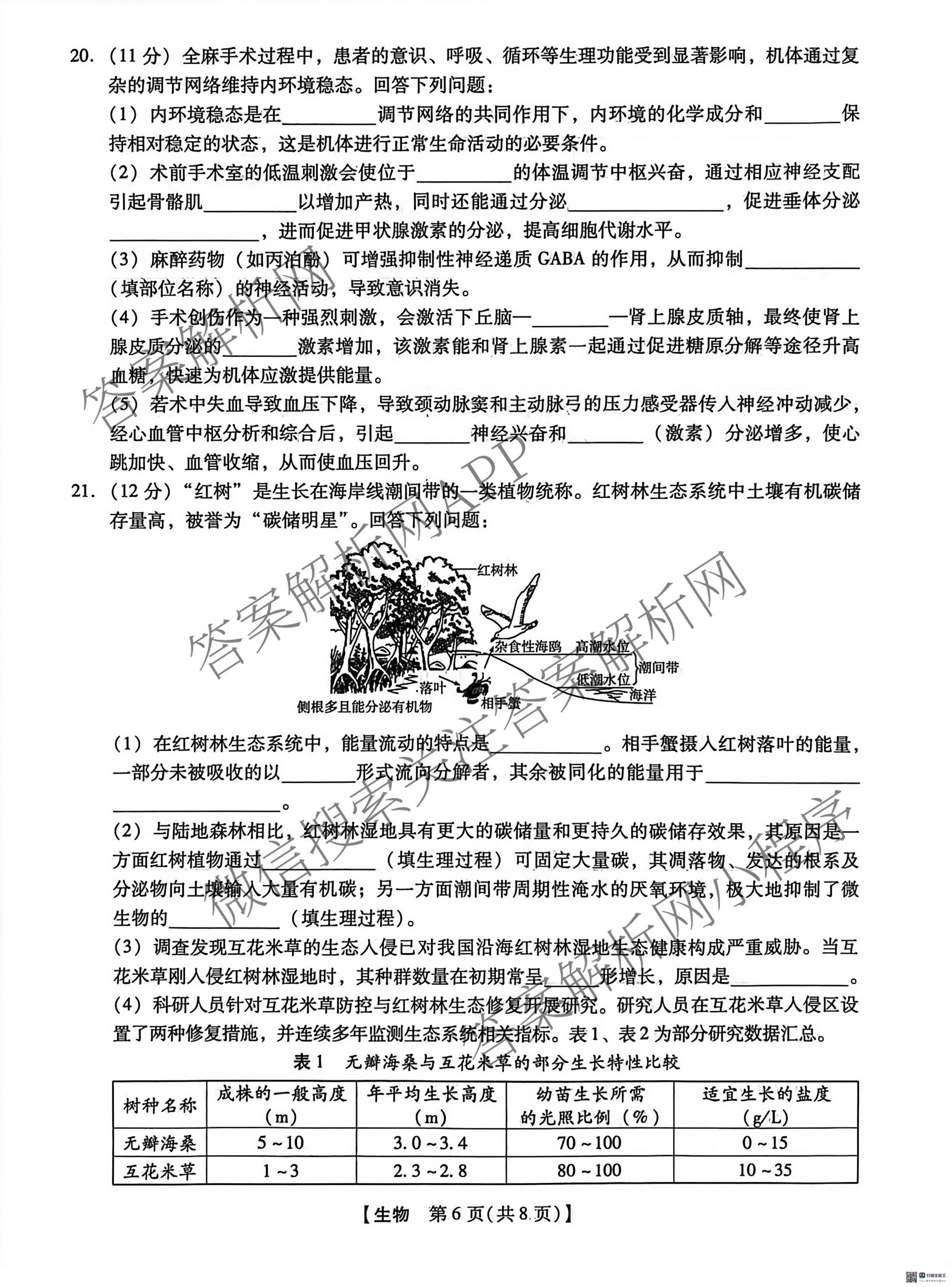 河北省沧州市2026届高三下学期3月阶段检测(无标题)（含政治、数学、语文等9份）生物试题