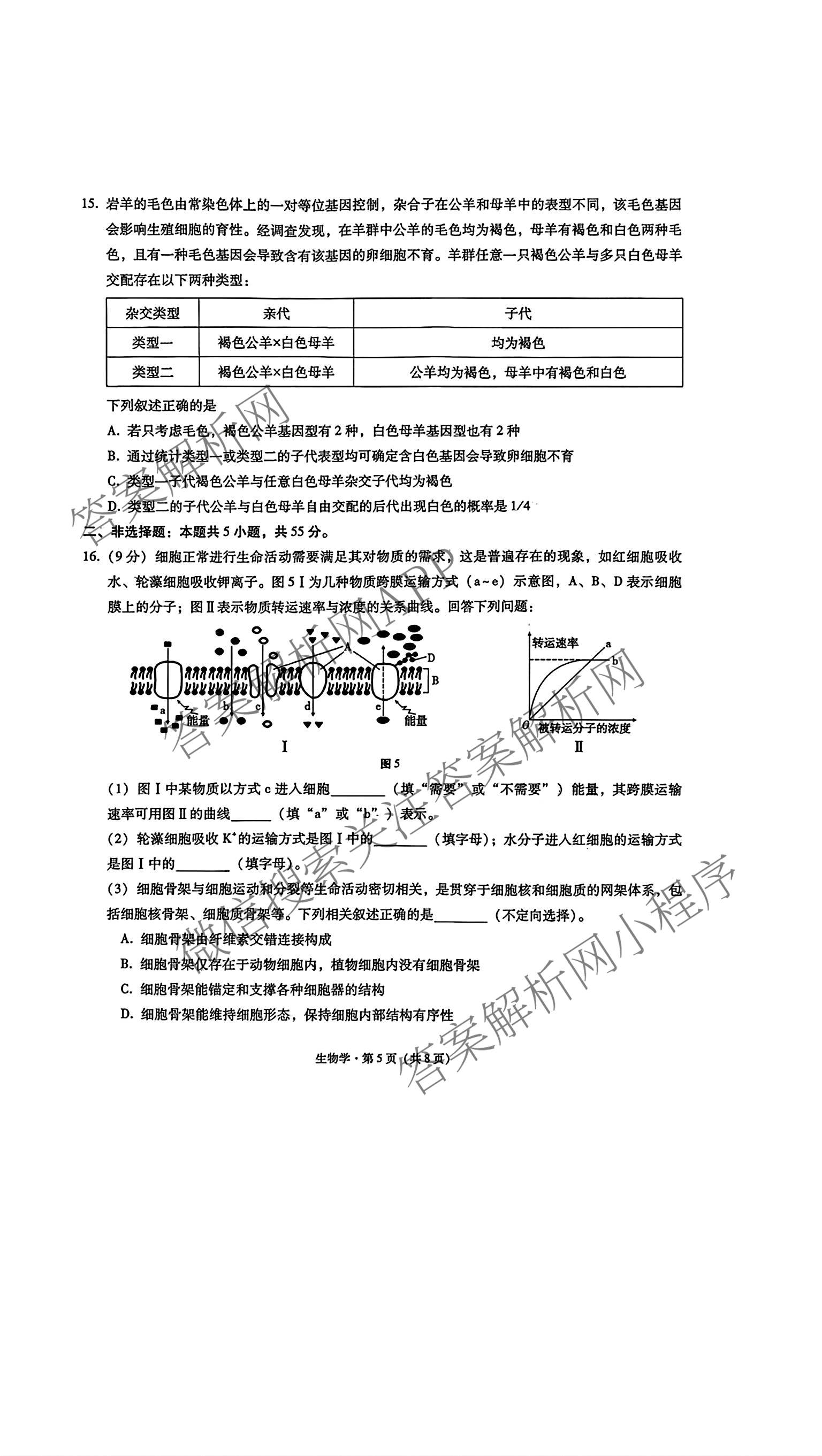 重庆市巴蜀中学2026-2027学年高三上学期开学考试(无标题)各科答案及试卷（含化学 物理 英语等9份）生物试题