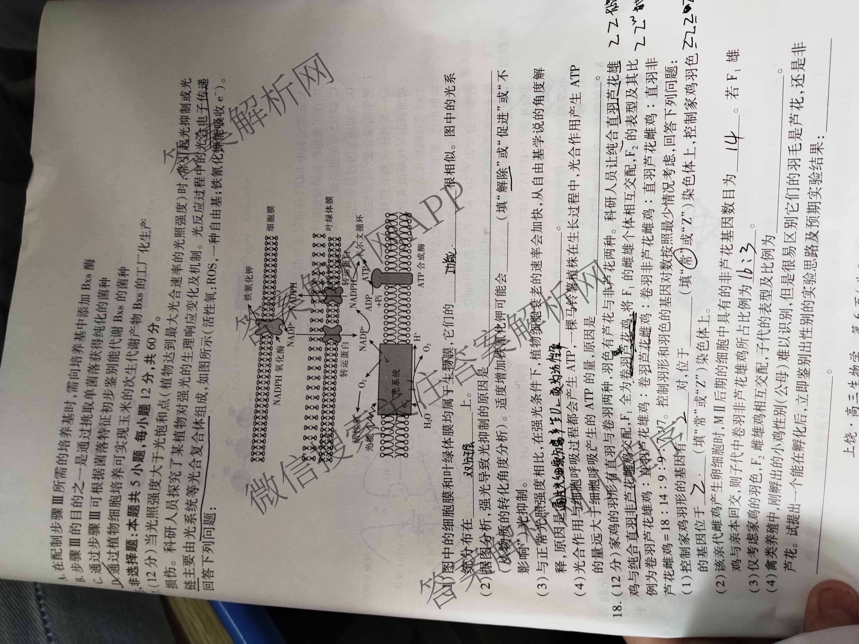 上进联考上饶市2025届高三六校第二次联合考试: 含历史 日语 生物试卷解析生物试题