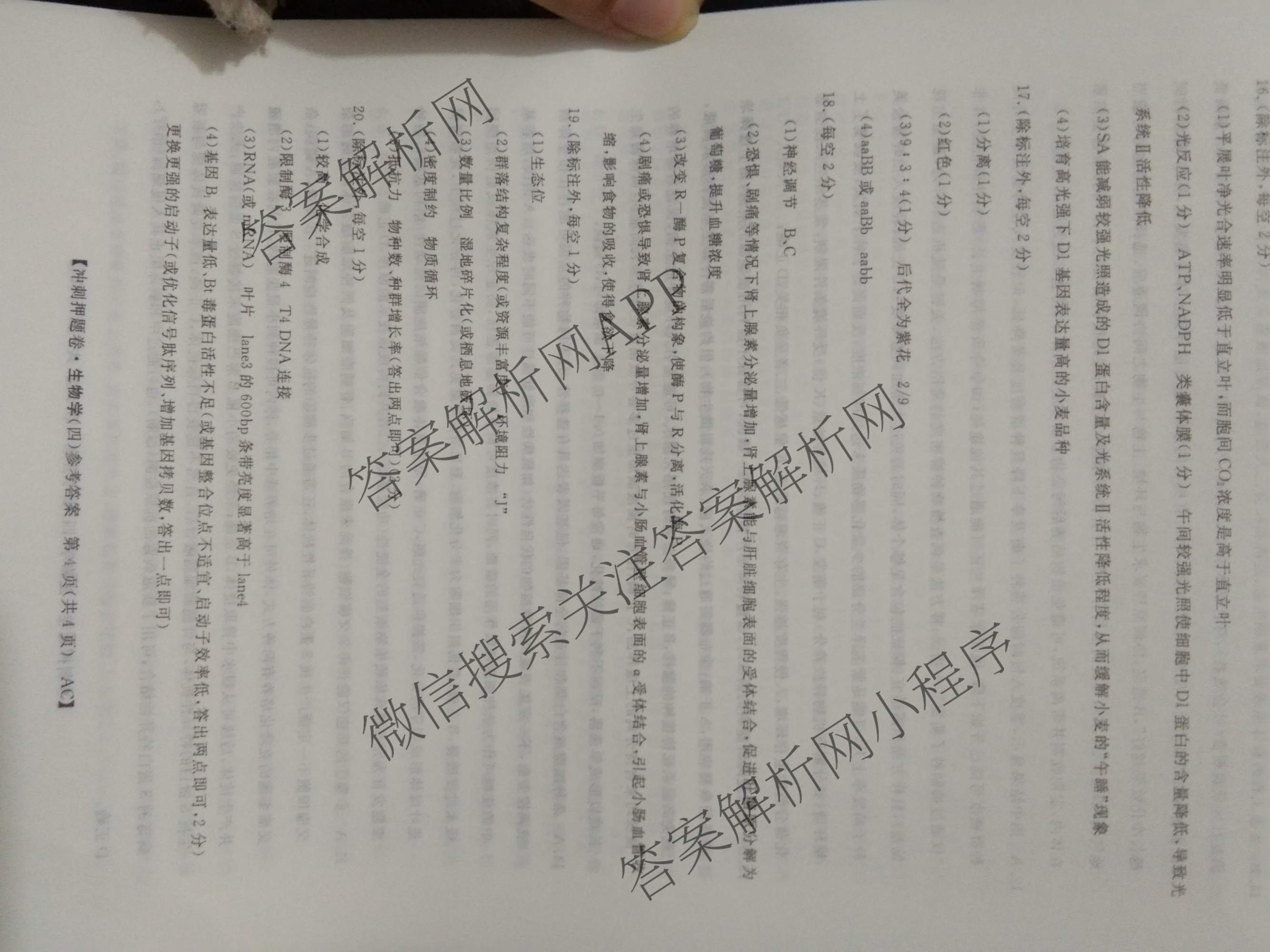 2026普通高等学校招生全国统一考试冲刺押题卷(四)4各科答案及试卷（含语文 地理(HNY) 生物(HBJ)等）生物答案