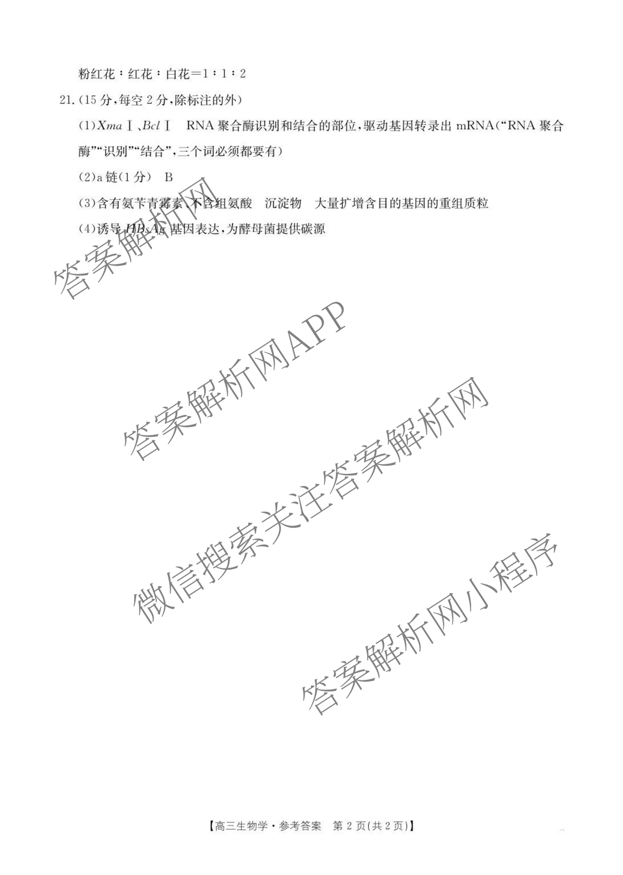 广西2026届高三10月考试(9科全)生物答案 广西2026届高三10月考试(9科全)生物答案