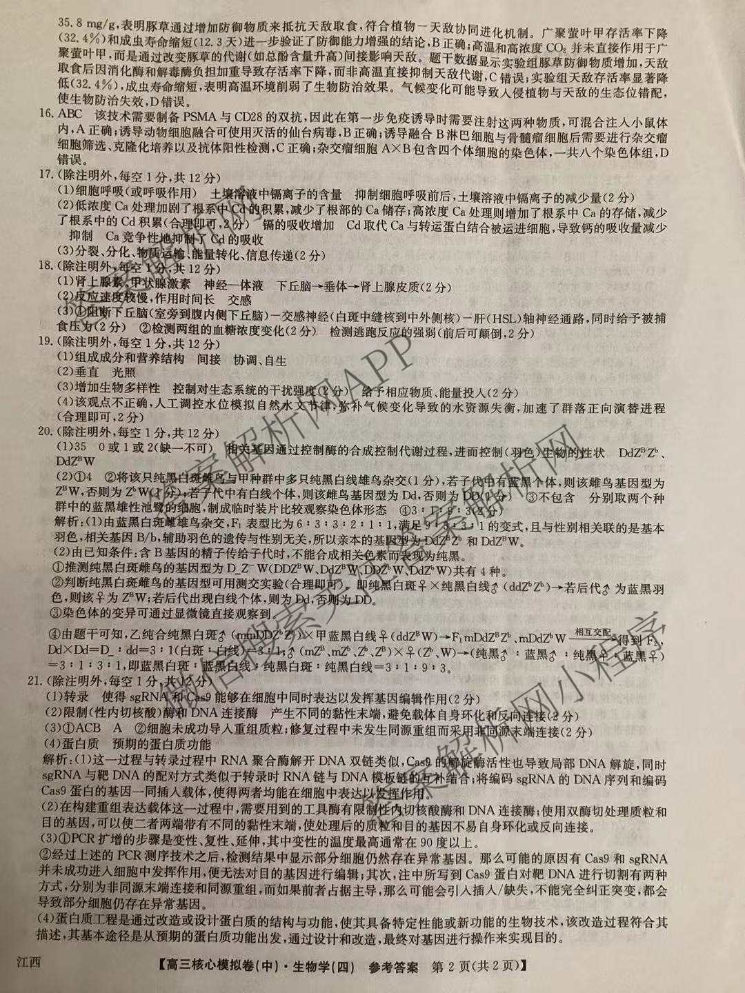 九师联盟2025~2026学年高三核心模拟卷(中)(四)试卷及答案汇总（含物理(A)、物理(HF)、生物(D1)等36份）生物答案