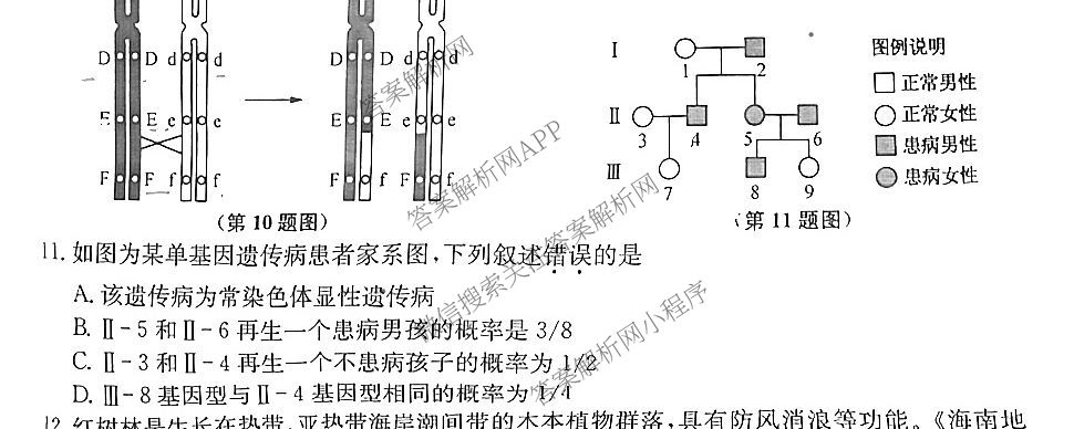 2025~2026学年高三9月质量检测卷(26-X-004C)试卷及答案汇总（含政治、语文、地理等9份）生物试题