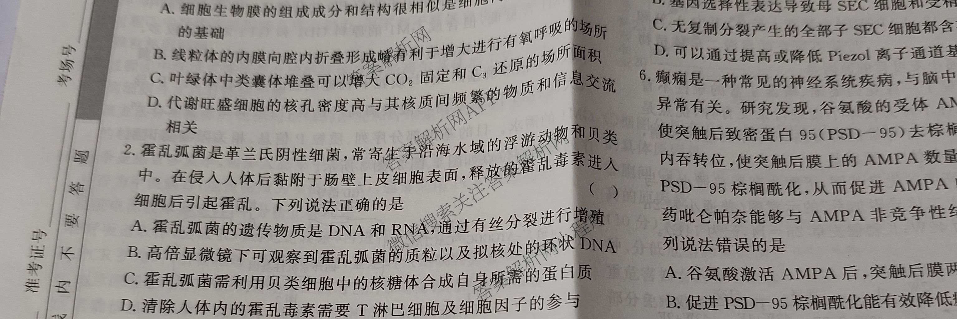 2026高考总复课堂测评 信息冲刺压轴训练(三)3各科答案及试卷（含化学(10) 地理(2) 物理(8)等21份）生物试题