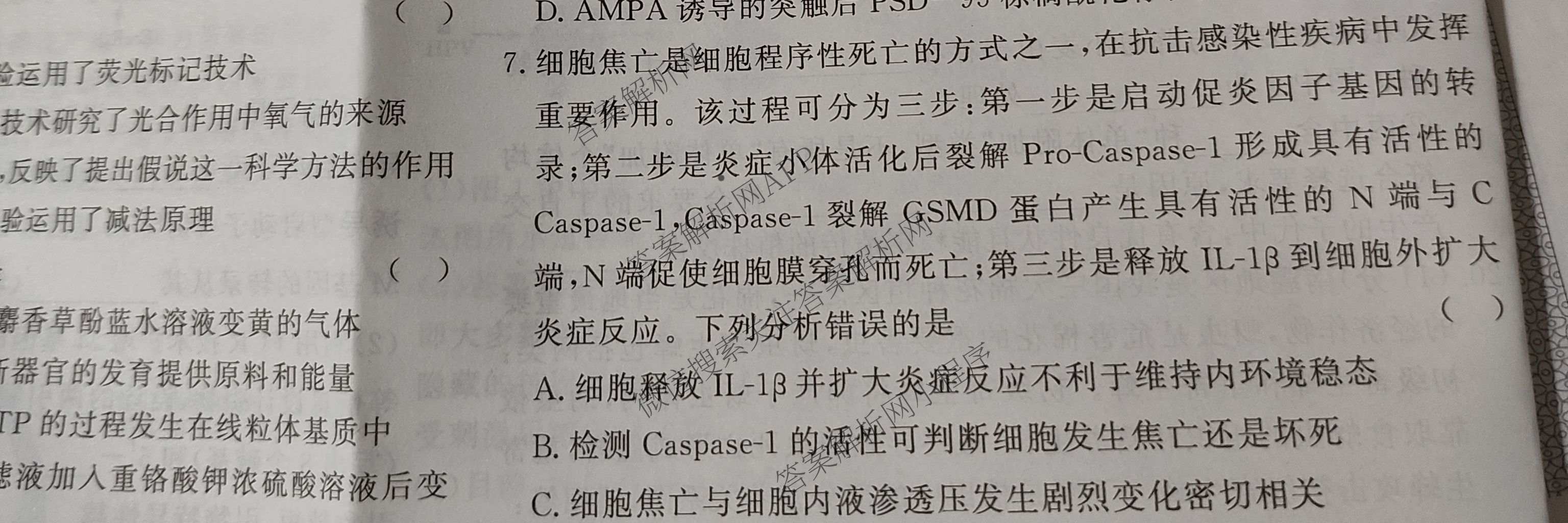 2026高考总复课堂测评 信息冲刺压轴训练(三)3各科答案及试卷（含化学(10) 地理(2) 物理(8)等21份）生物试题