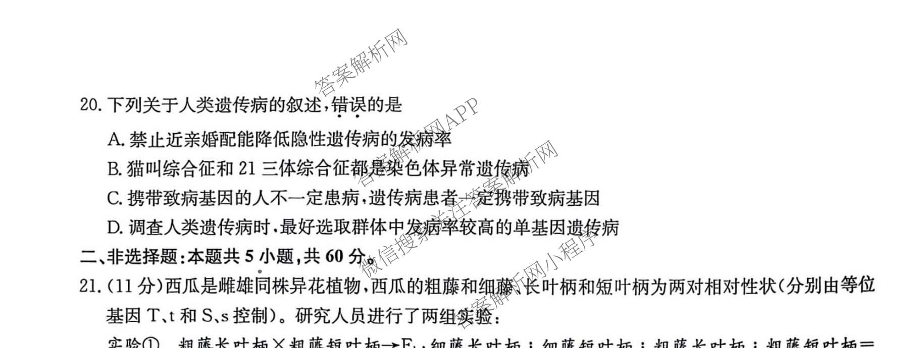 九师联盟2024-2025学年高一6月质量检测试卷及答案汇总（21科全）生物试题