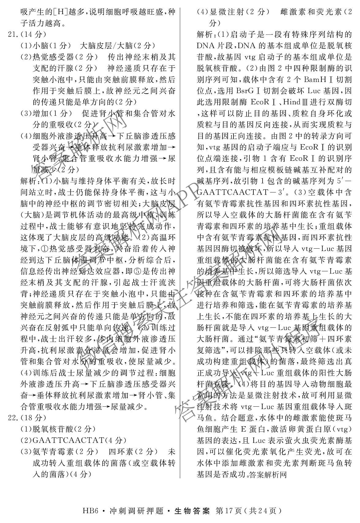 2026届冲刺调研押题实战演练(四)4（含地理(SX6) 地理(AG6) 历史(SD6)等）生物答案