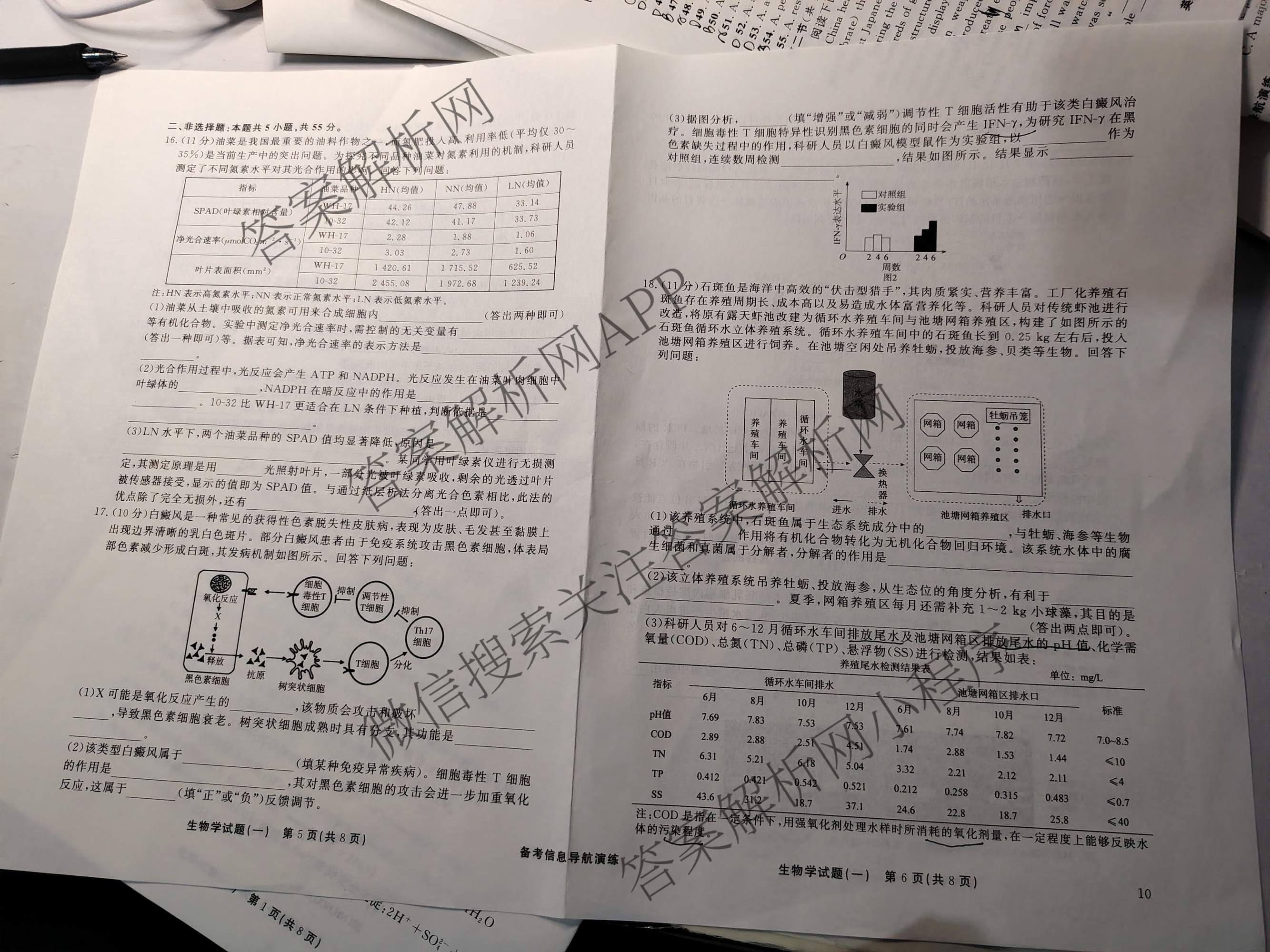真题密卷2025-2026学年度备考信息导航演练(一)1试卷及答案汇总（含化学(7) 英语(BT) 语文(A)等）生物试题