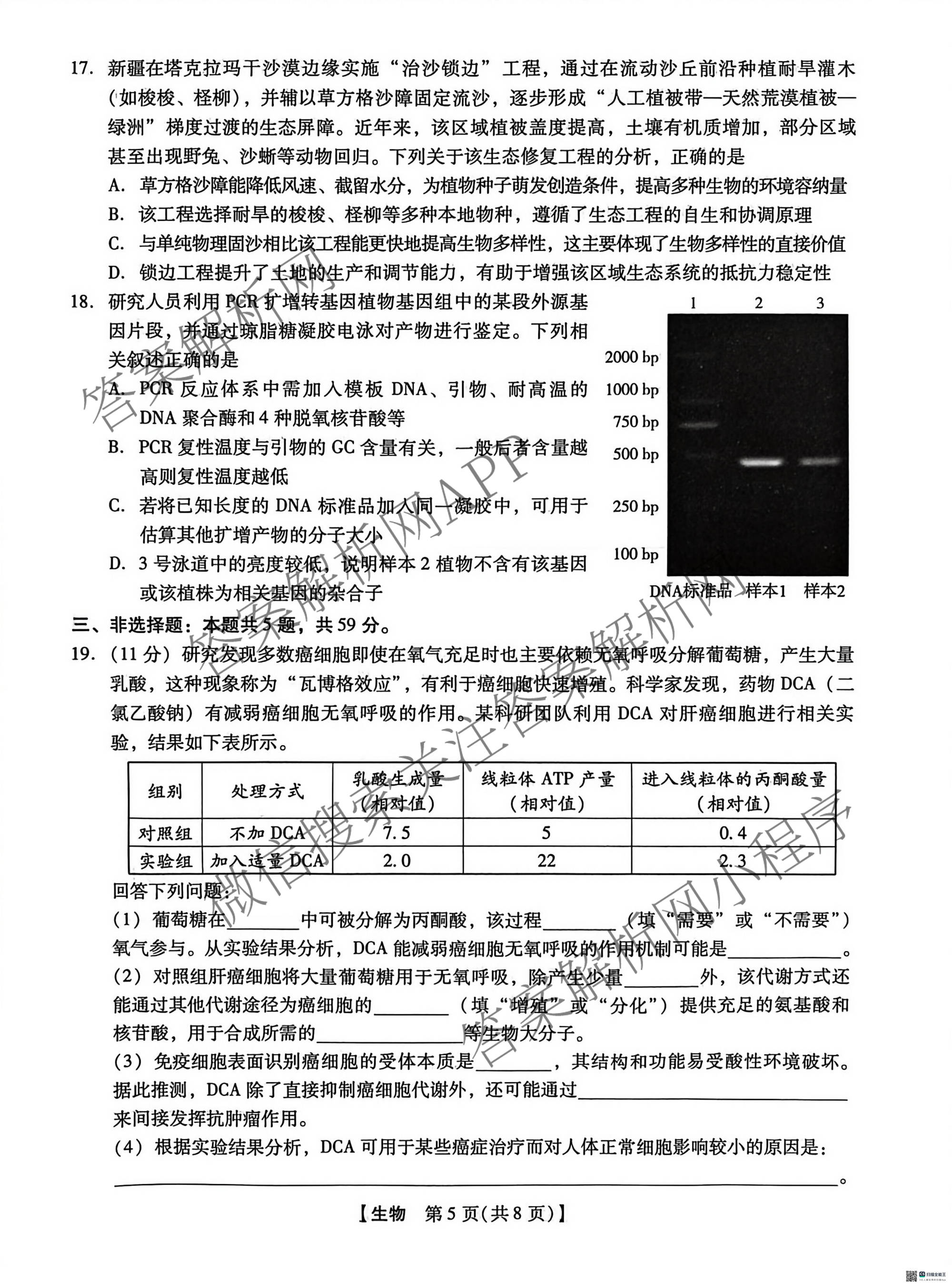 河北省沧州市2026届高三下学期3月阶段检测(无标题)（含政治、数学、语文等9份）生物试题