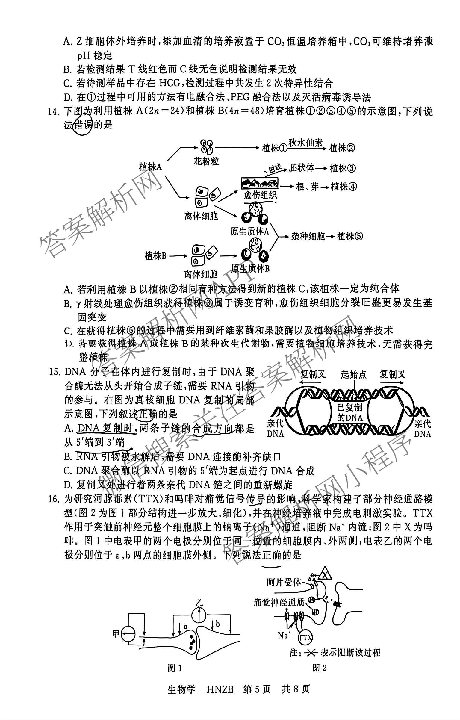 河南省新未来2026-2027学年高三9月测评(HNZB)（9科全）生物试题
