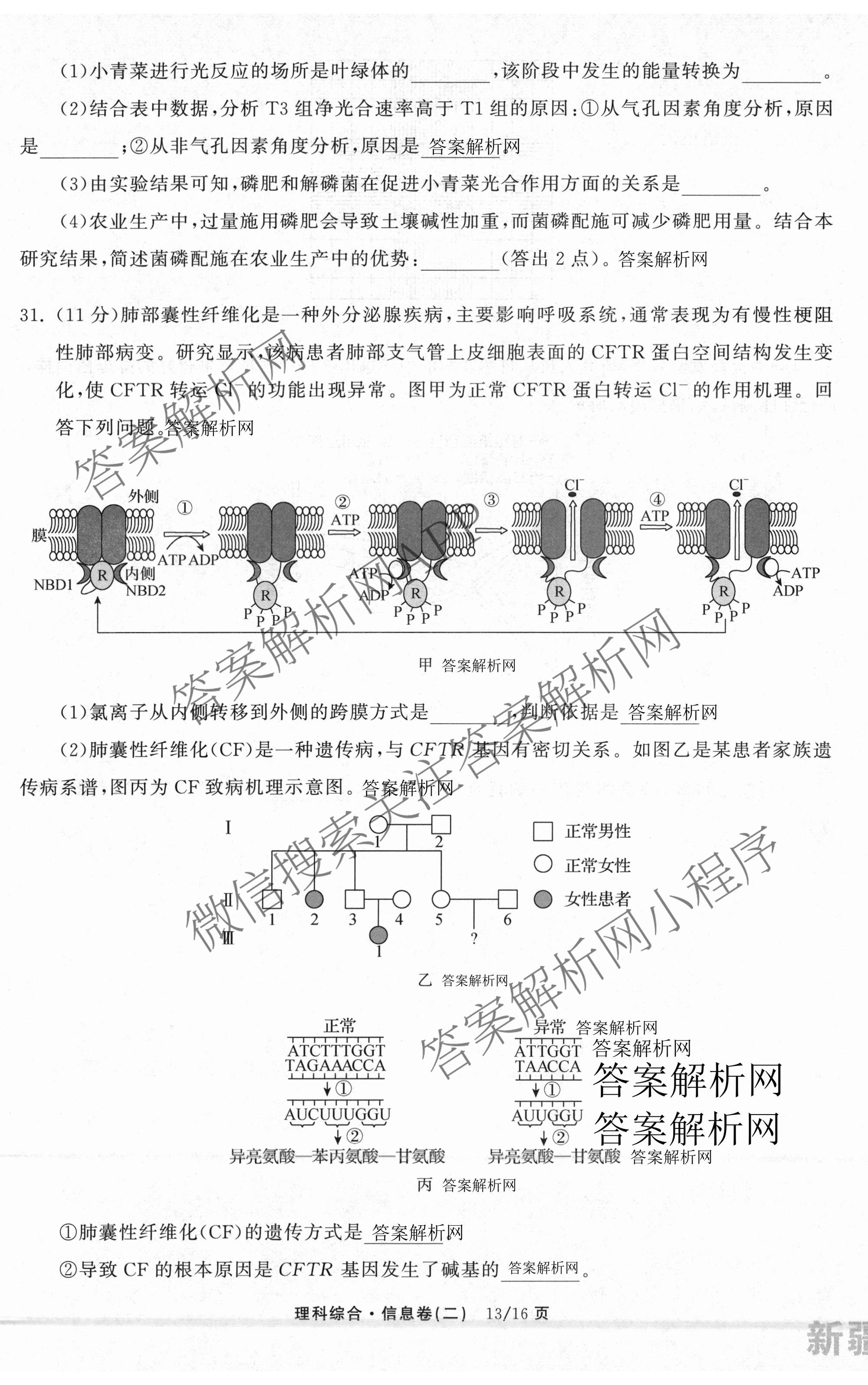 天舟高考衡中同卷2026年普通高等学校招生全国统一考试模拟信息卷(二)2各科答案及试卷（含化学(山东版)、历史(GY)、数学(B)等）理综试题