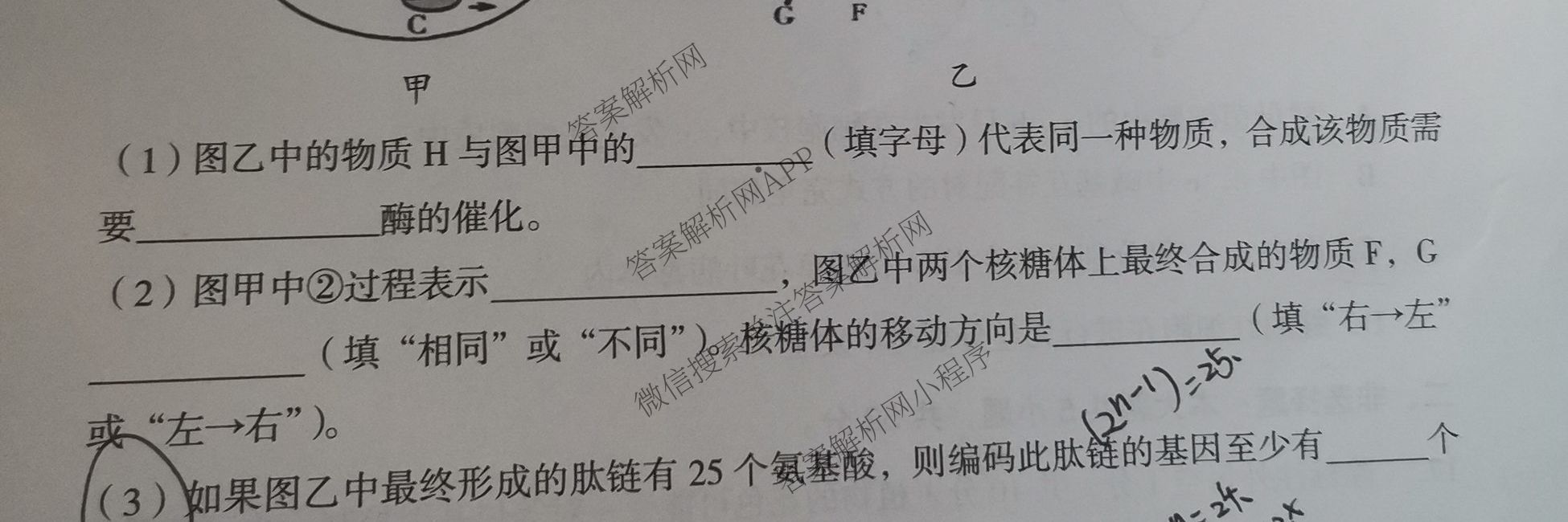 2025年孝义市春季学期高一期中考试试题(卷)各科答案及试卷（含数学、生物、地理等）生物试题