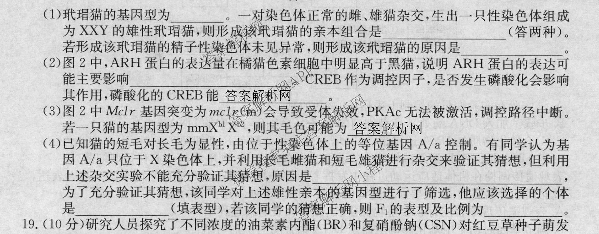 2026年普通高等学校招生全国统一考试猜题密卷(三)3试卷及答案汇总: 含英语 政治(C2) 化学(C3)试卷解析生物试题