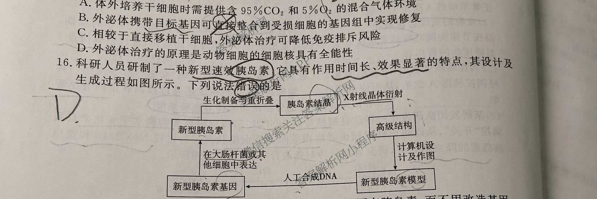 真题密卷2025-2026学年度备考信息导航演练(二)2各科答案及试卷(已更新数学(A)、物理(1)、生物(10)等22份)生物试题
