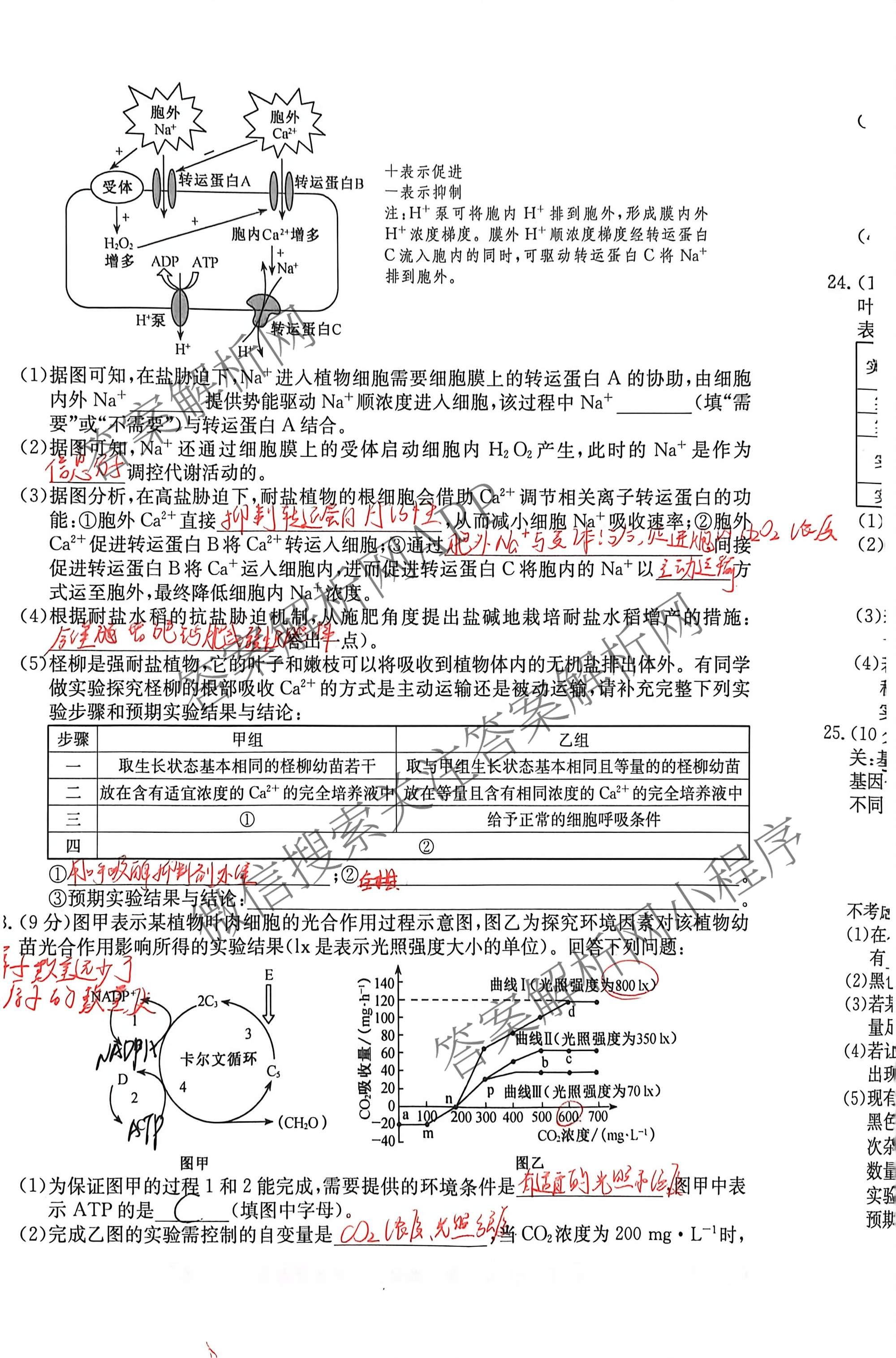 2025-2026学年山西高一4月质量检测卷(261581D)试卷及答案汇总: 含数学、化学、历史试卷解析生物试题