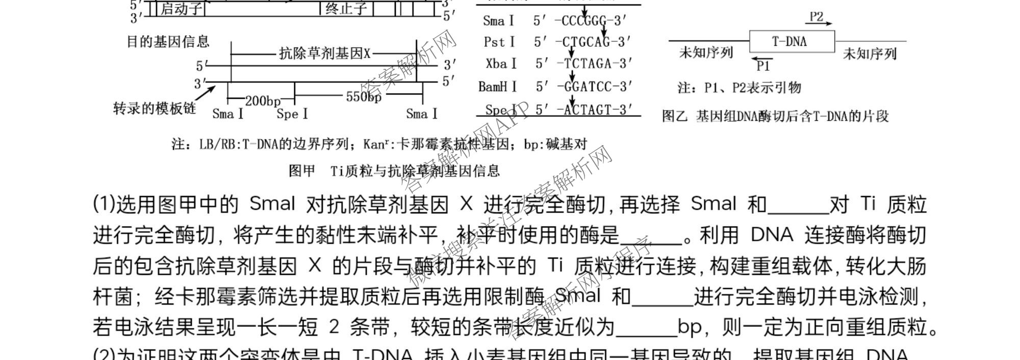 字节精准教育联盟MYS高中2023级第一次诊断性考试模拟试题（10科全）生物试题