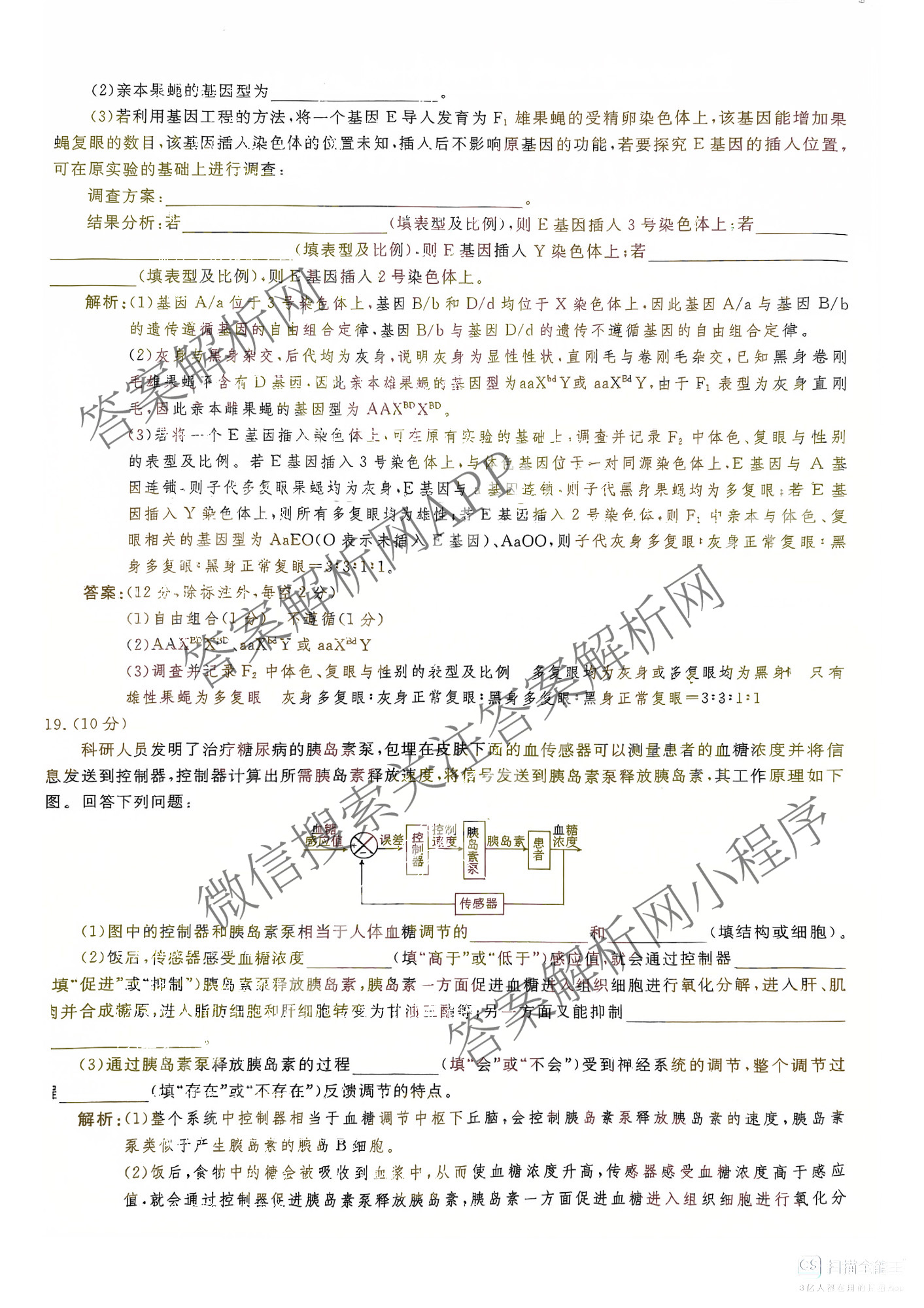衡水金卷先享题摸底卷 2025-2026学年度高三一轮复摸底测试卷(一)1各科答案及试卷(已更新物理(Q) 政治(W) 英语等16份)生物答案