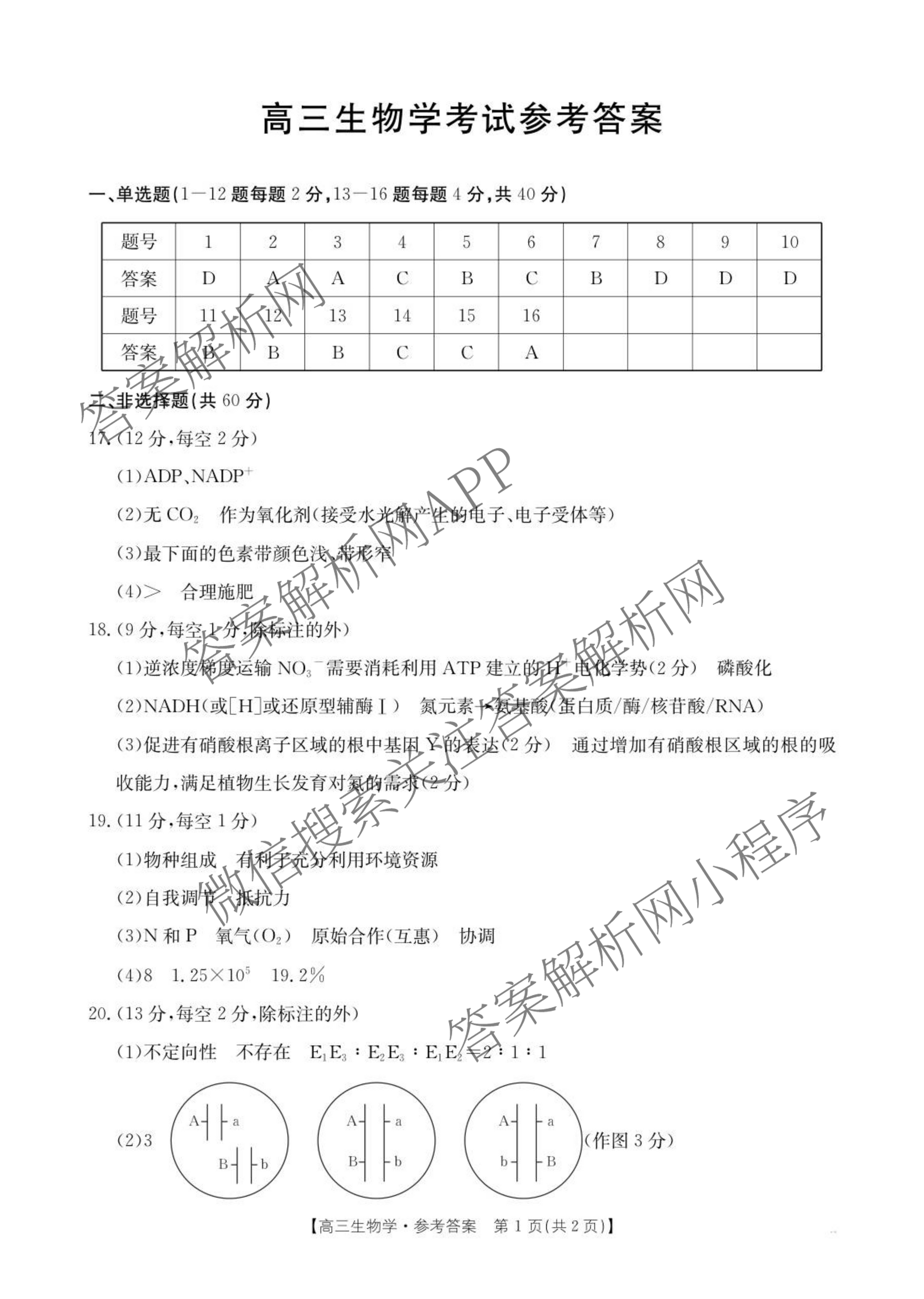 广西2026届高三10月考试(9科全)生物答案 广西2026届高三10月考试(9科全)生物答案
