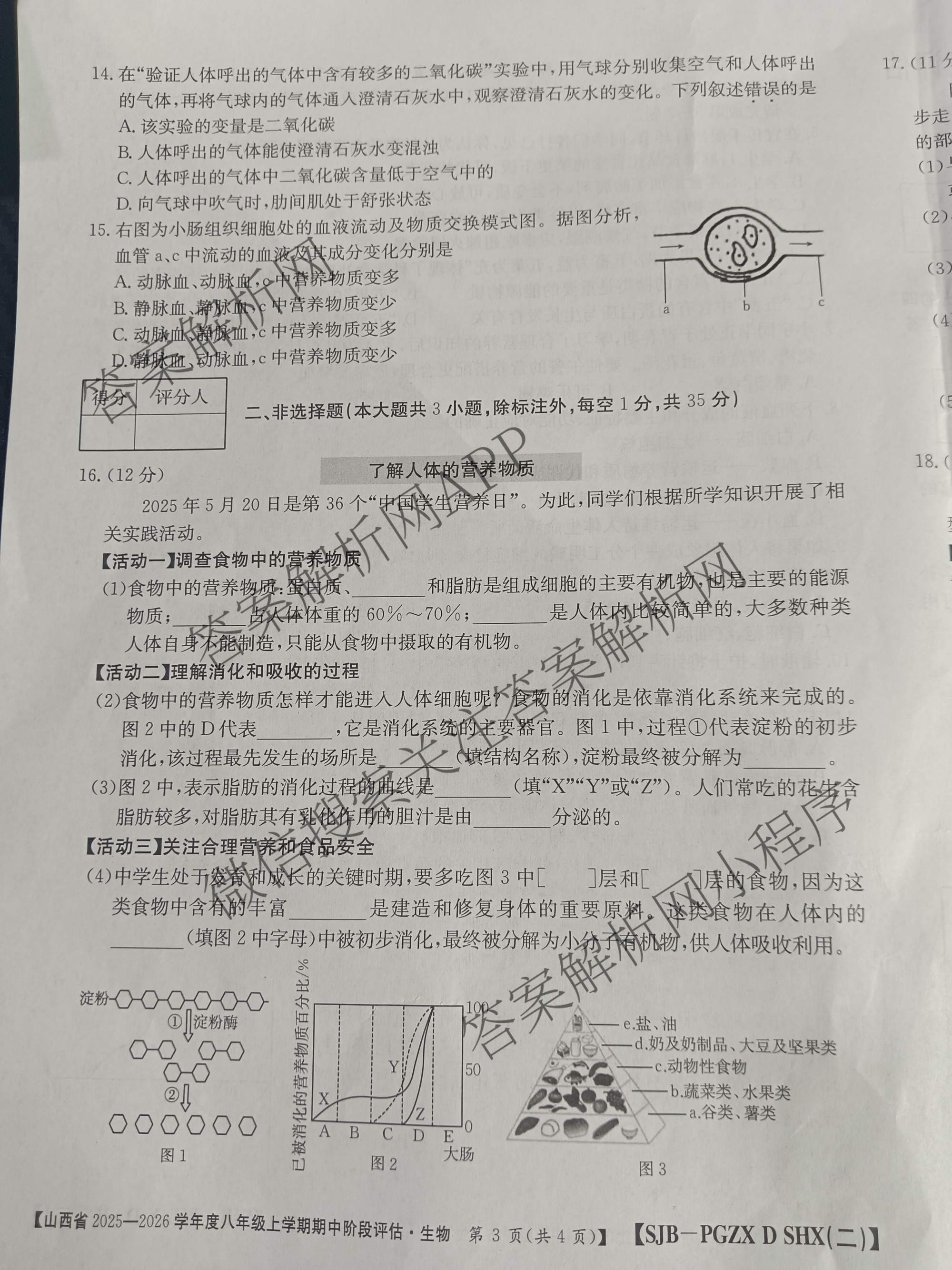 运城市八年级上学期长标期中试卷及答案汇总: 含生物(R)、数学(R)、物理(HYB)试卷解析生物试题
