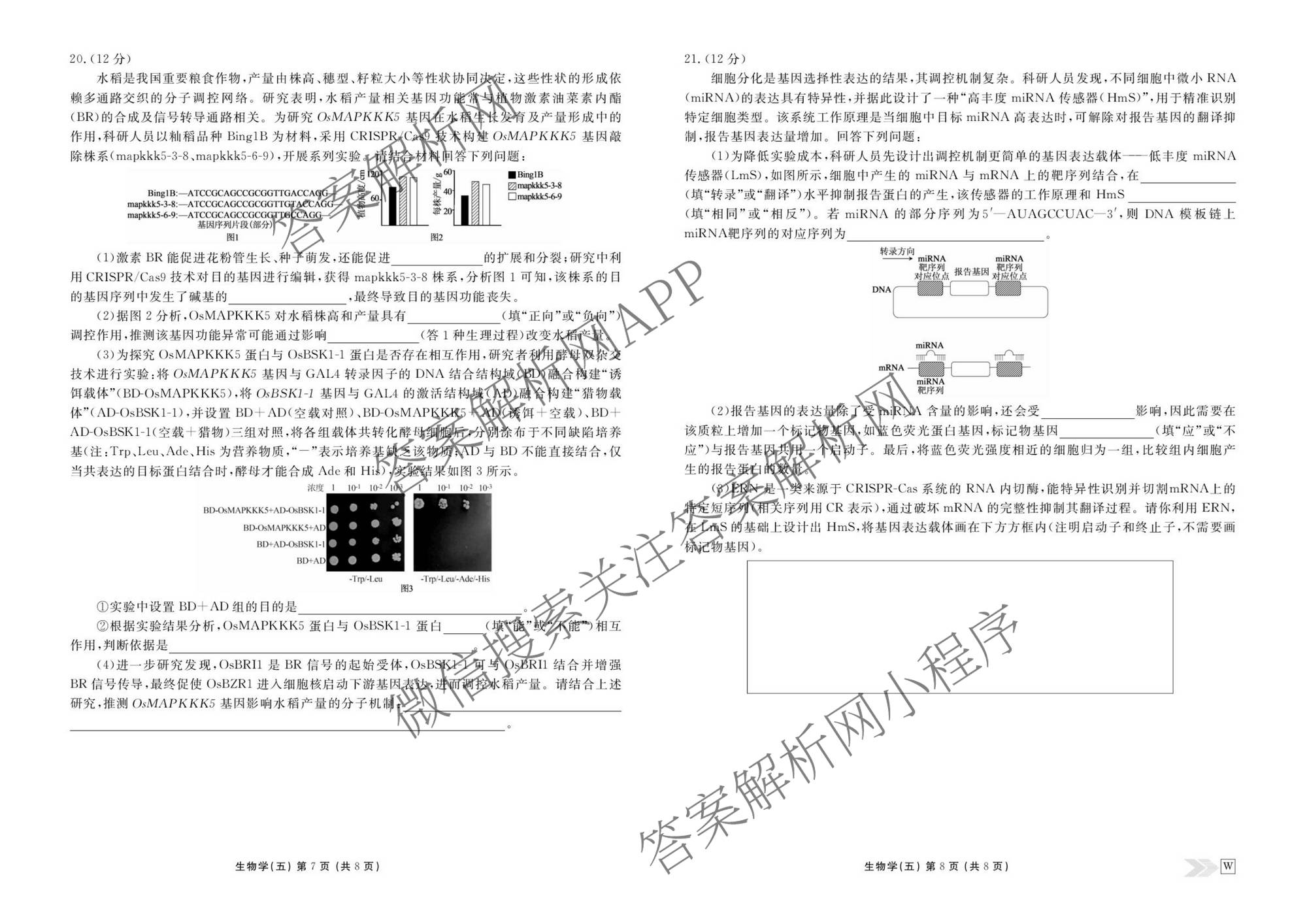 衡水金卷先享题2026年学科素养评价练(五)5(已更新地理(HJ)【河北专版】、地理(HN)【湖南专版】、生物(CY)【四川重庆专版】等90份)生物试题