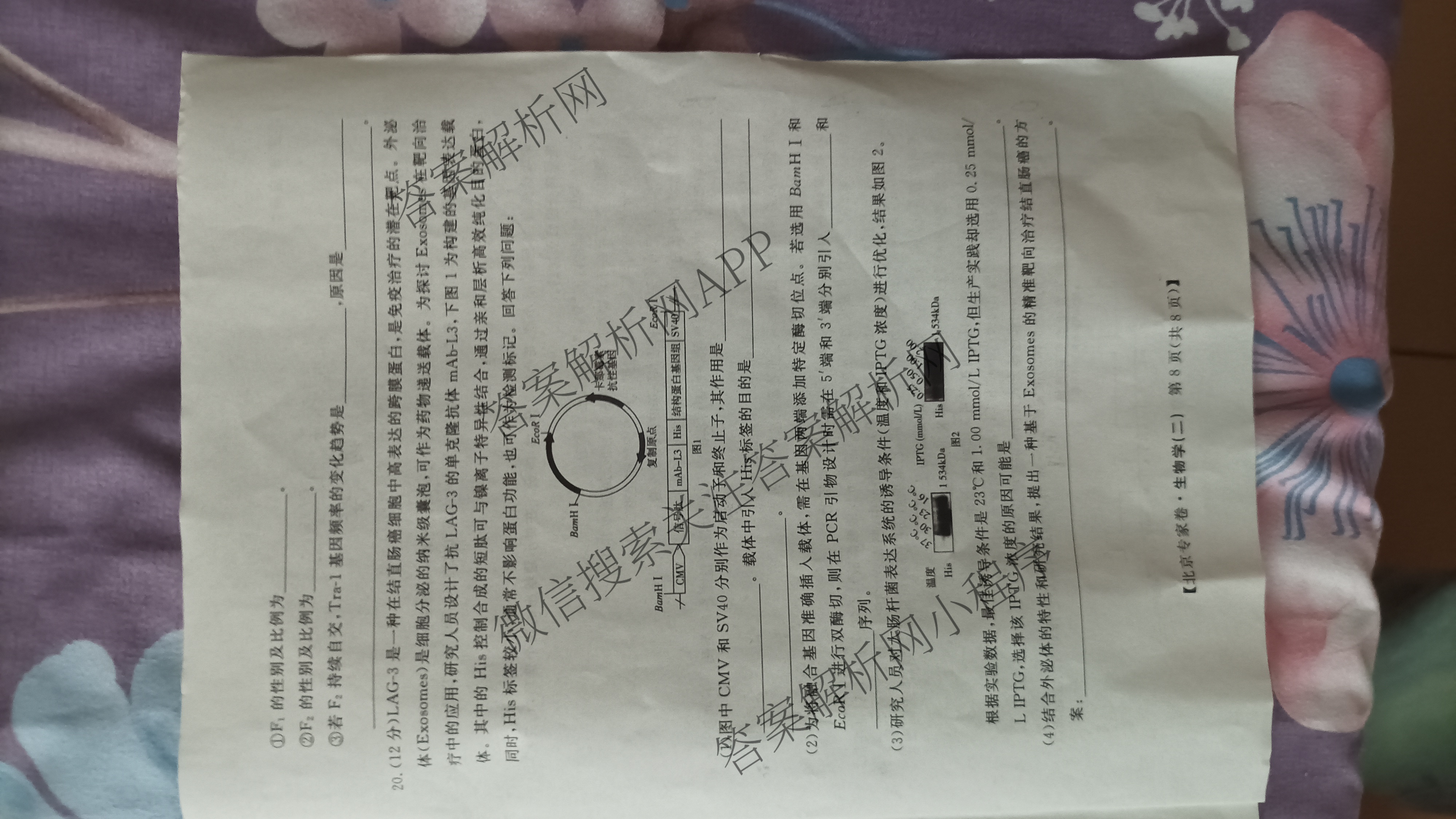 2025届北京专家卷押题卷(二)2: 含语文 历史 数学试卷解析生物试题