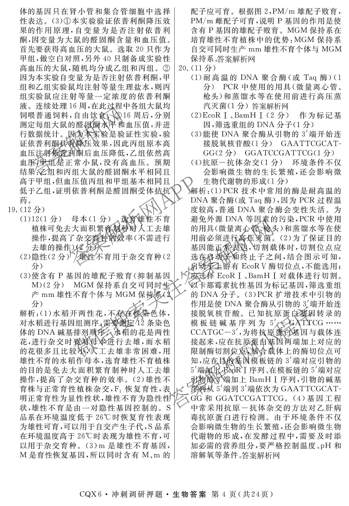 2026届冲刺调研押题实战演练(一)1各科答案及试卷（含历史(新S6J) 化学(新S6J) 地理(XS6J)等）生物答案
