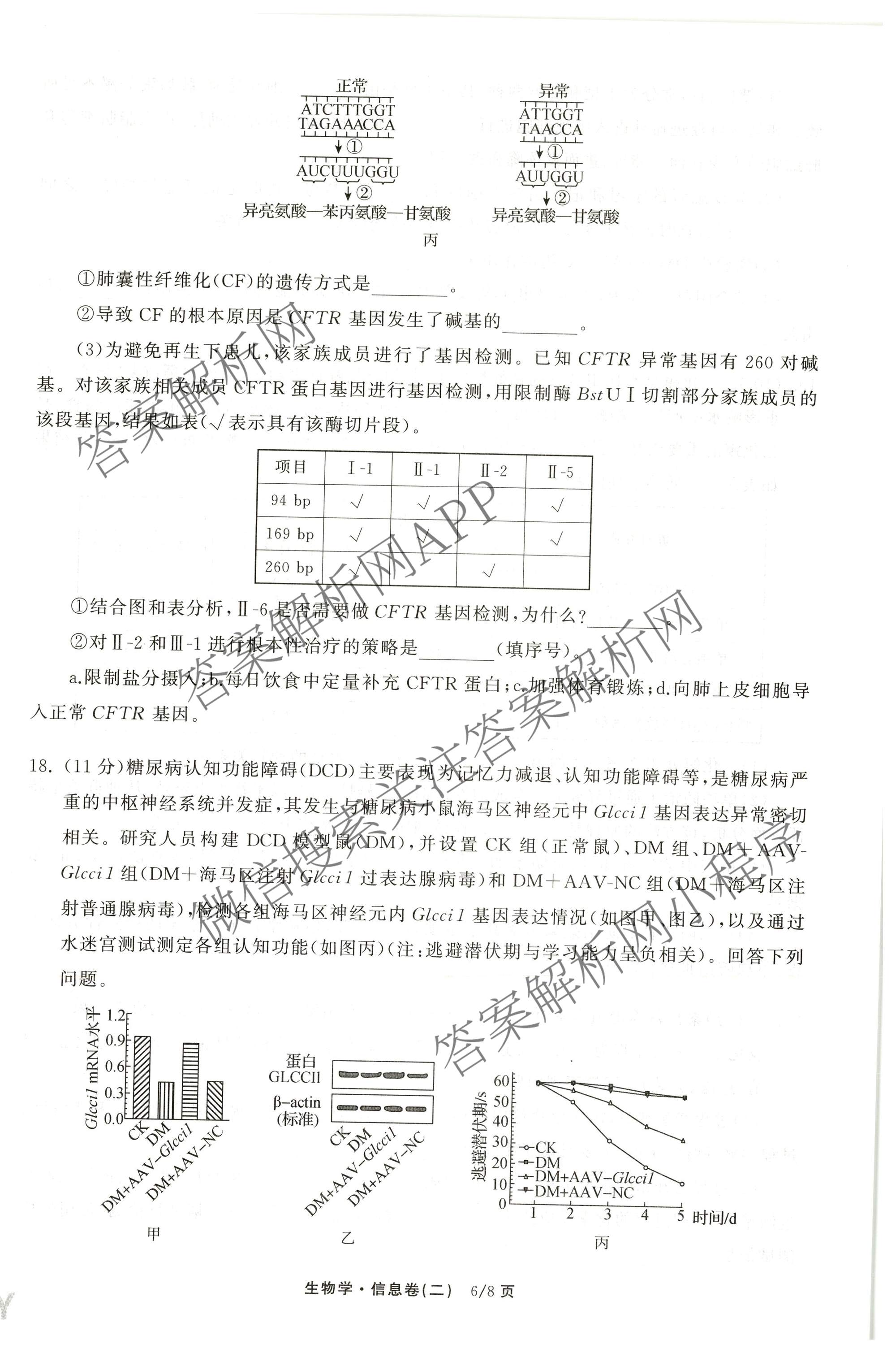 天舟高考衡中同卷2026年普通高等学校招生全国统一考试模拟信息卷(二)2各科答案及试卷（含化学(山东版)、历史(GY)、数学(B)等）生物试题