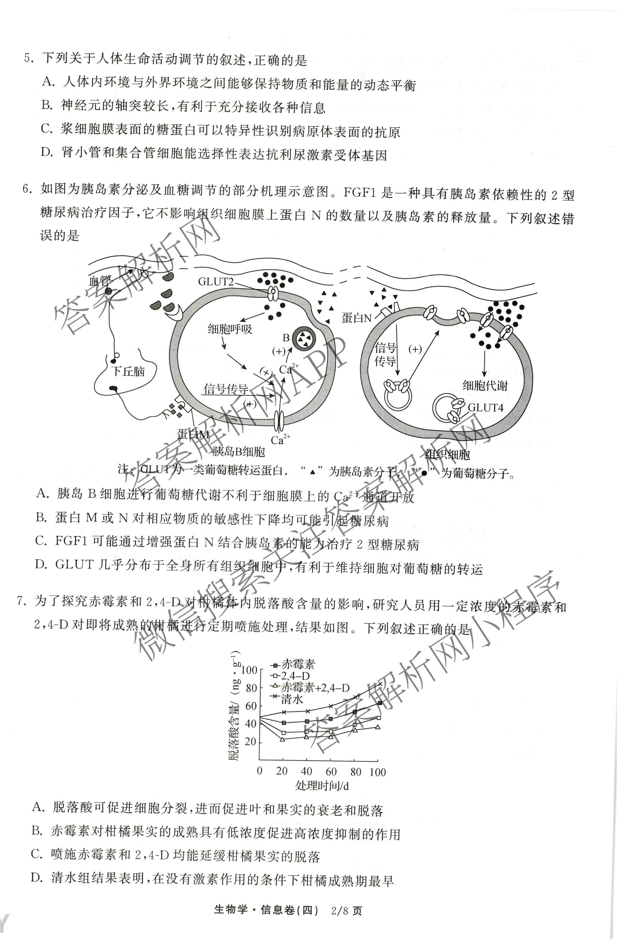 天舟高考衡中同卷2026年普通高等学校招生全国统一考试模拟信息卷(四)4试卷及答案汇总: 含化学(无字母)、数学(无字母)、理综(新疆版)试卷解析生物试题