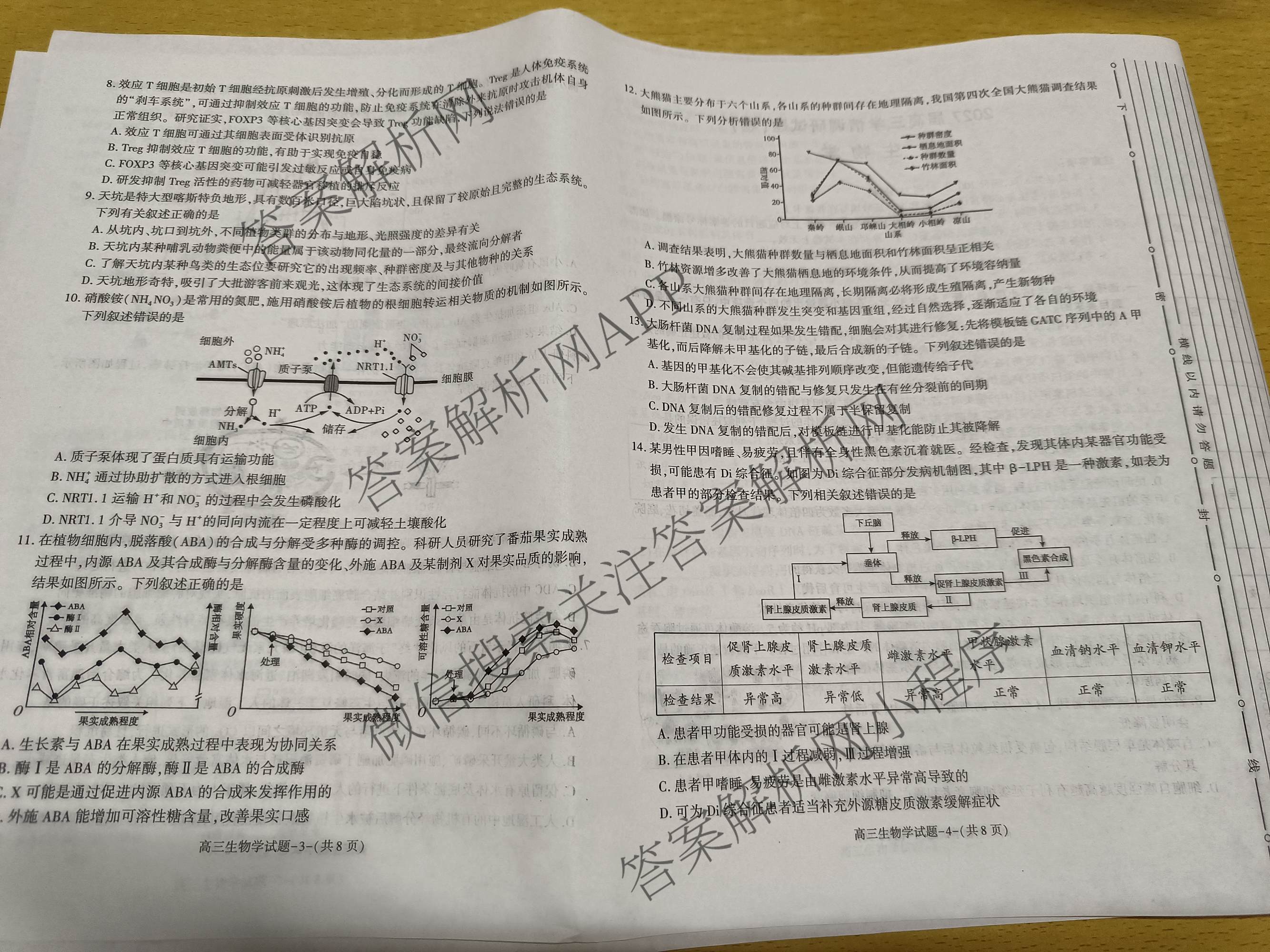陕西省商洛市2027届高三学情调研试题(卷)各科答案及试卷（9科全）生物试题