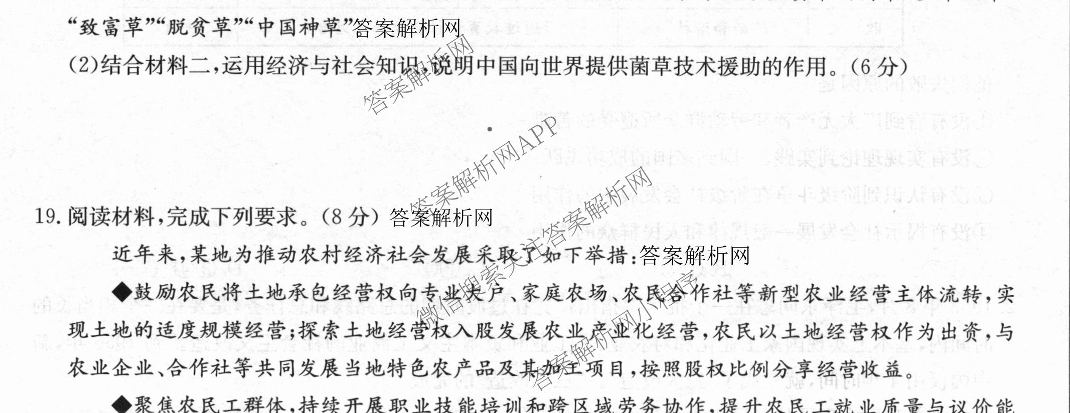 全国名校大联考2025~2026学年高三第一次联考(月考)试卷及答案汇总（含历史(河南)、化学(A2)、物理(A1)等）政治试题