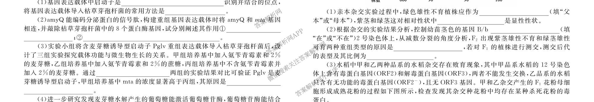 衡水金卷广东省2026届高三年级9月份联考(9.28)各科答案及试卷（含生物 物理 历史等10份）生物试题