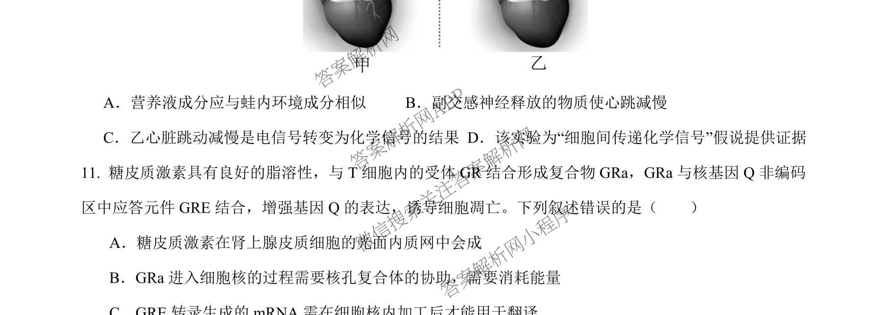 安徽省2026届合肥八中高三下学期阶段性检测四（含化学、历史、英语等）生物试题