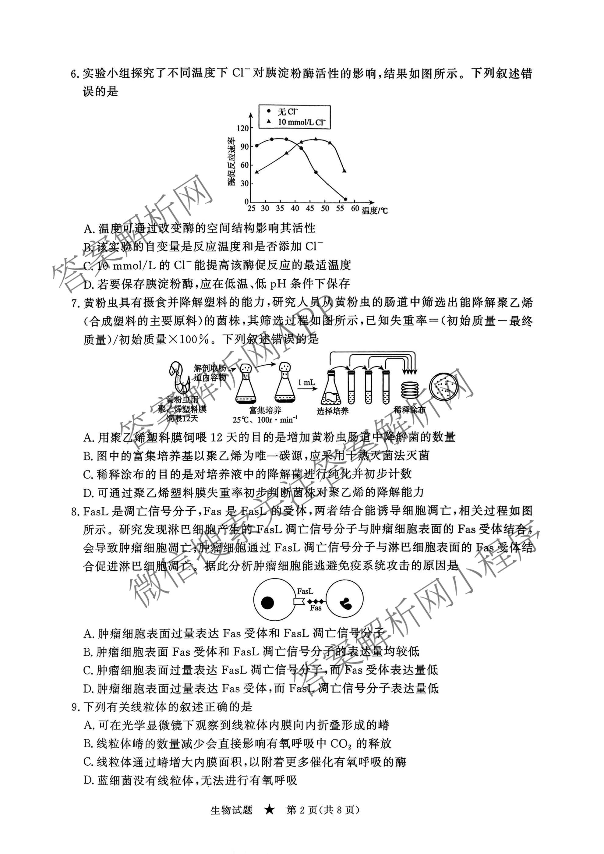 青桐鸣2026届高三内部练(3月)（含生物、政治(★)、物理等13份）生物试题