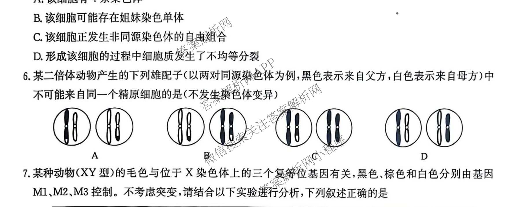 九师联盟2024-2025学年高一6月质量检测试卷及答案汇总（21科全）生物试题
