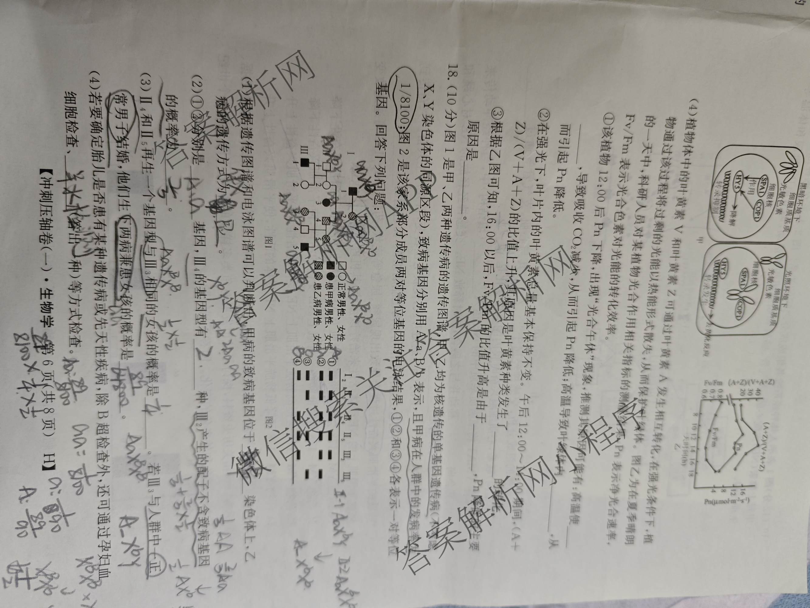 2025年普通高校招生考试冲刺压轴卷(一)1各科答案及试卷(已更新历史(K在括号外)、语文(X在括号外)、生物(A在括号外)等58份)生物试题