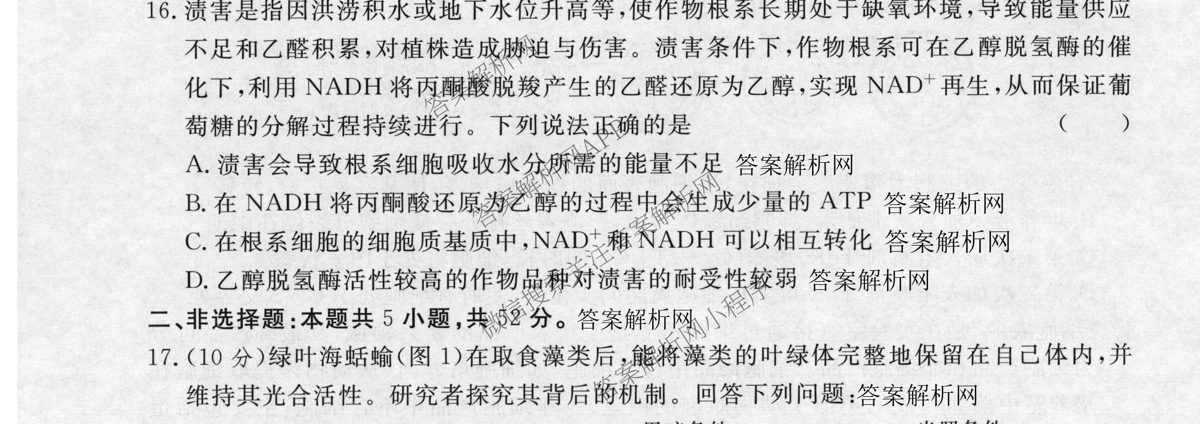 2026届高考预测压轴综合训练(一)1试卷及答案汇总（含化学(4) 数学 历史(5)等）生物试题