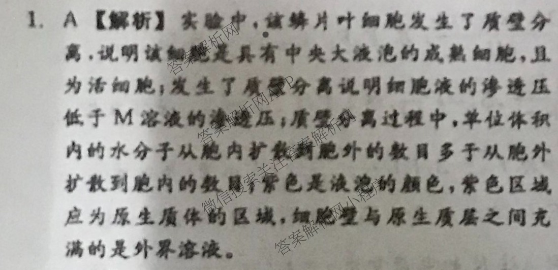 真题密卷2024年学科素养月度测评(一)各科答案及试卷(已更新物理(安徽版)、英语、语文等11份)理综答案